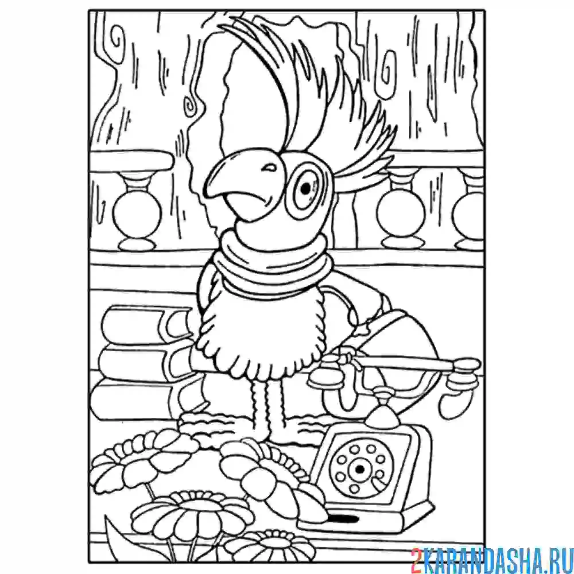 Раскраска попугай айболит