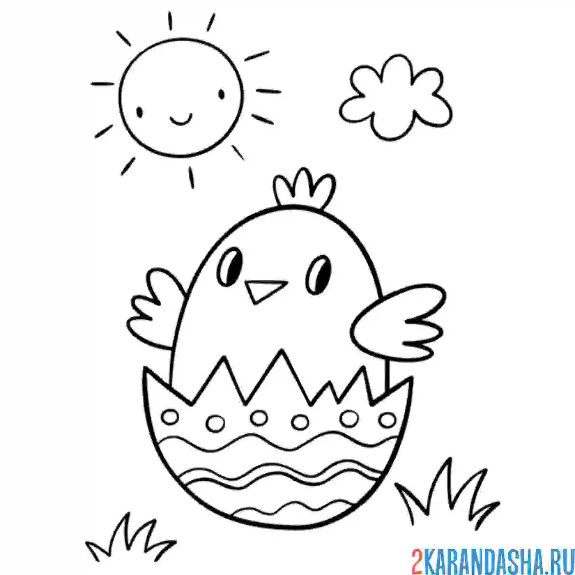 Раскраска птенчик вылупился