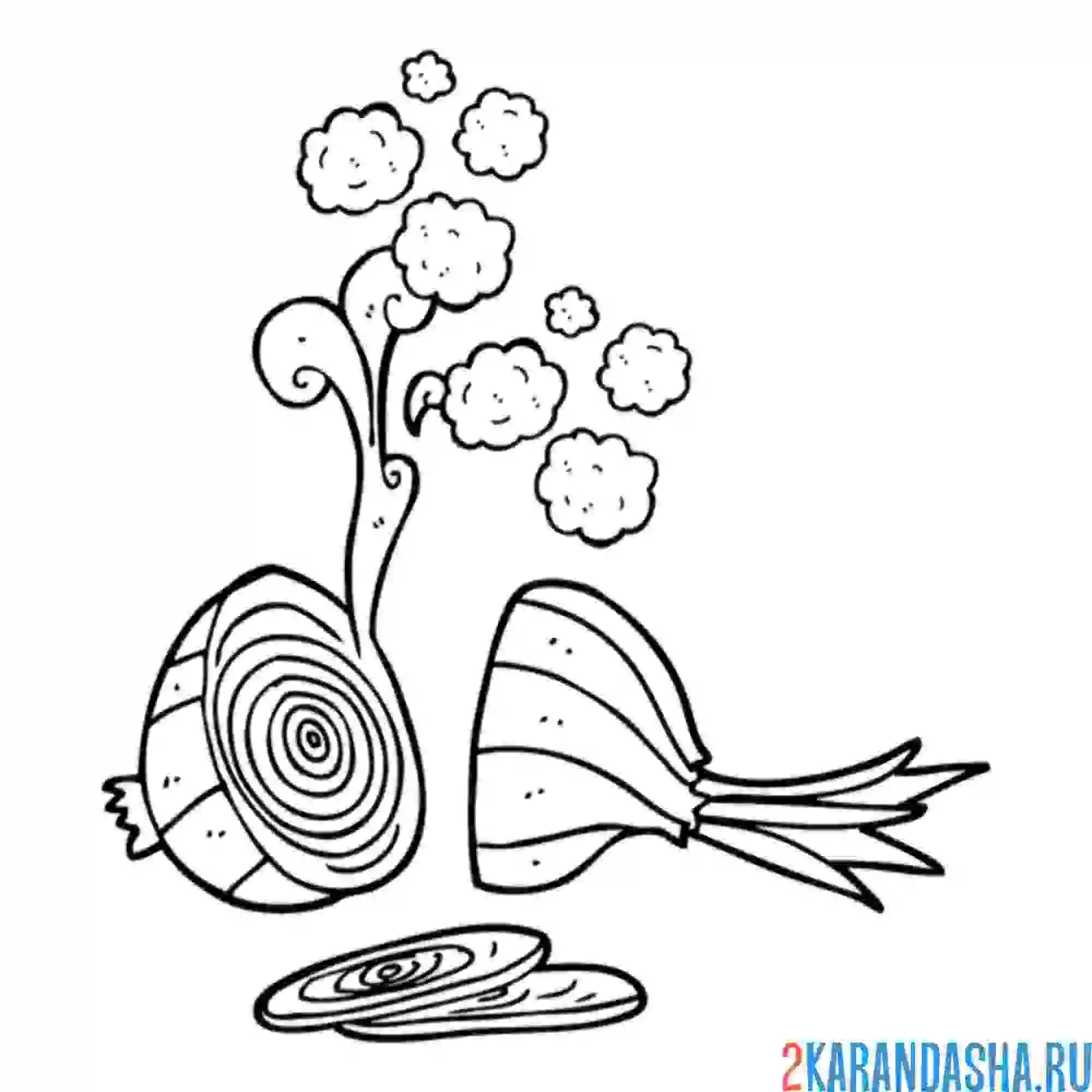 Раскраска луковый аромат