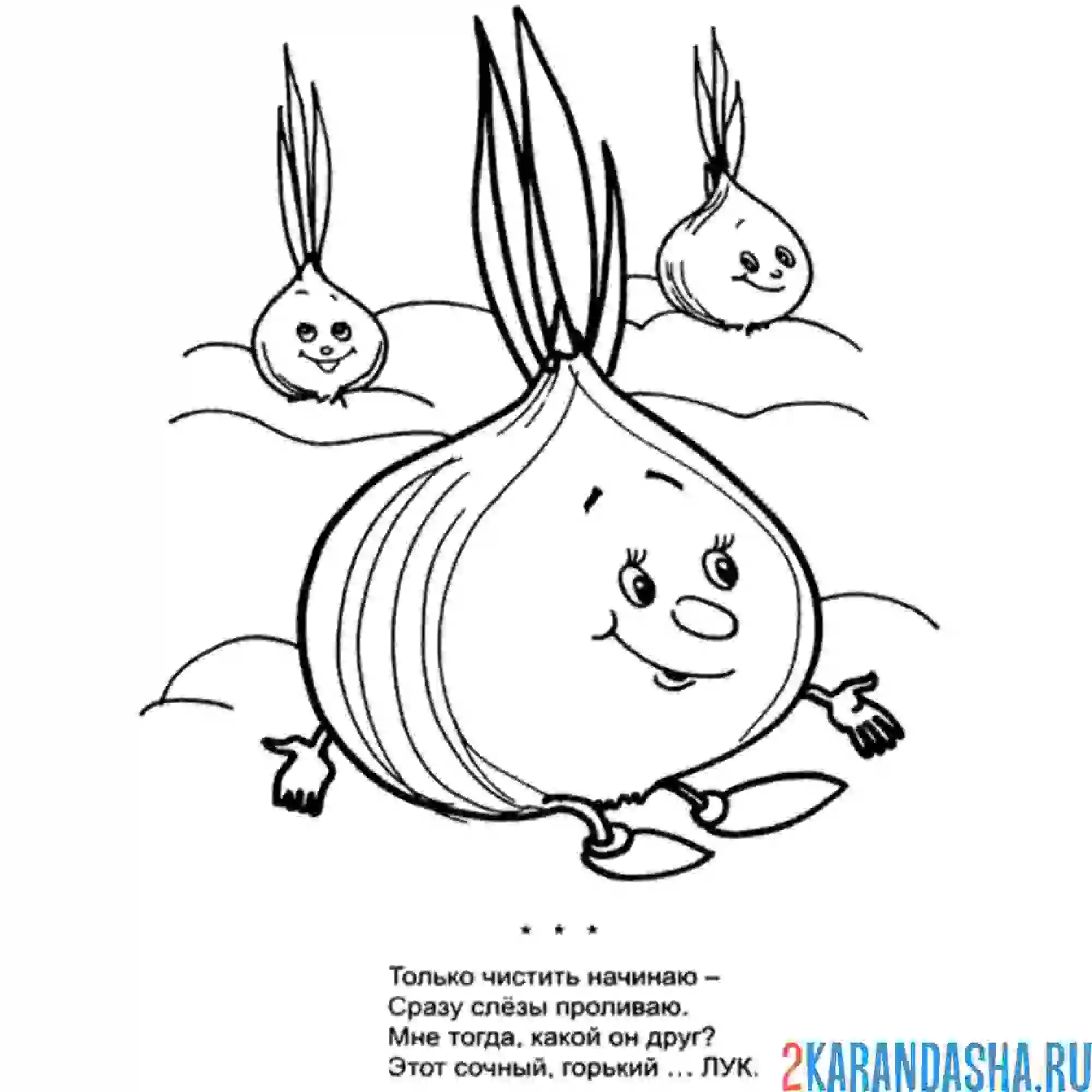 Раскраска загадка про лук