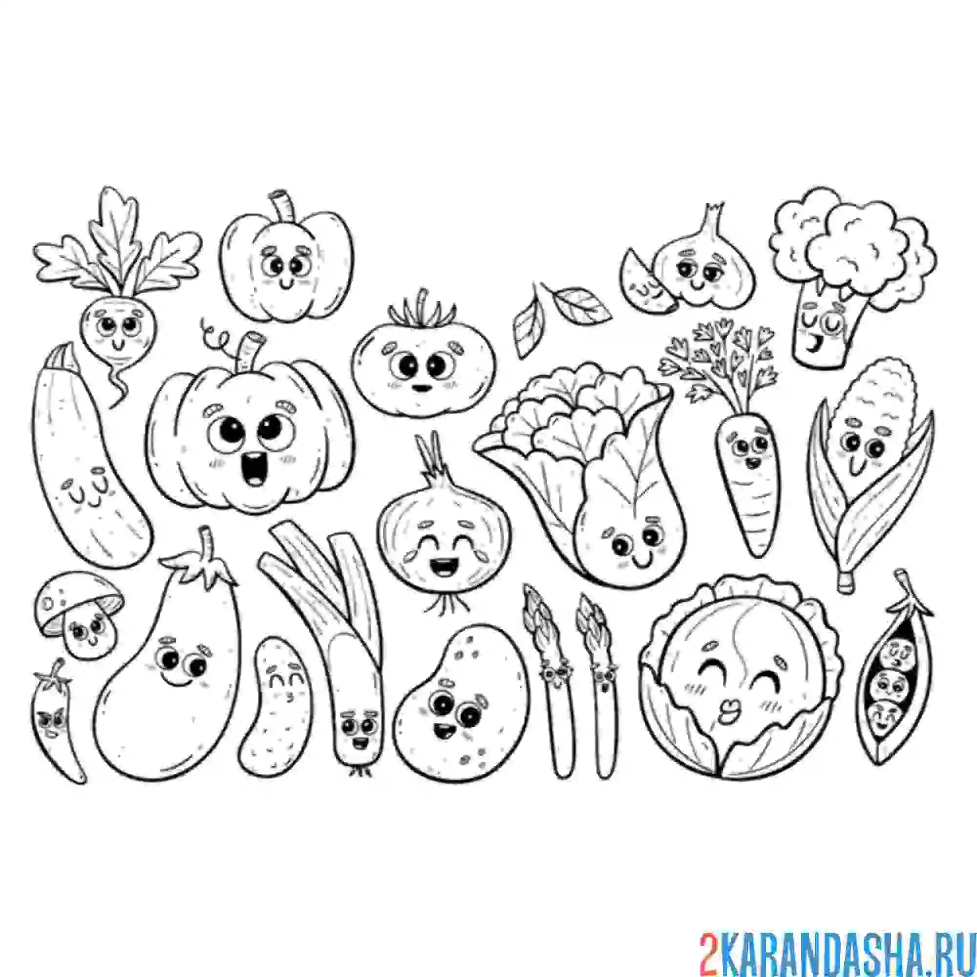 Раскраска овощная компания