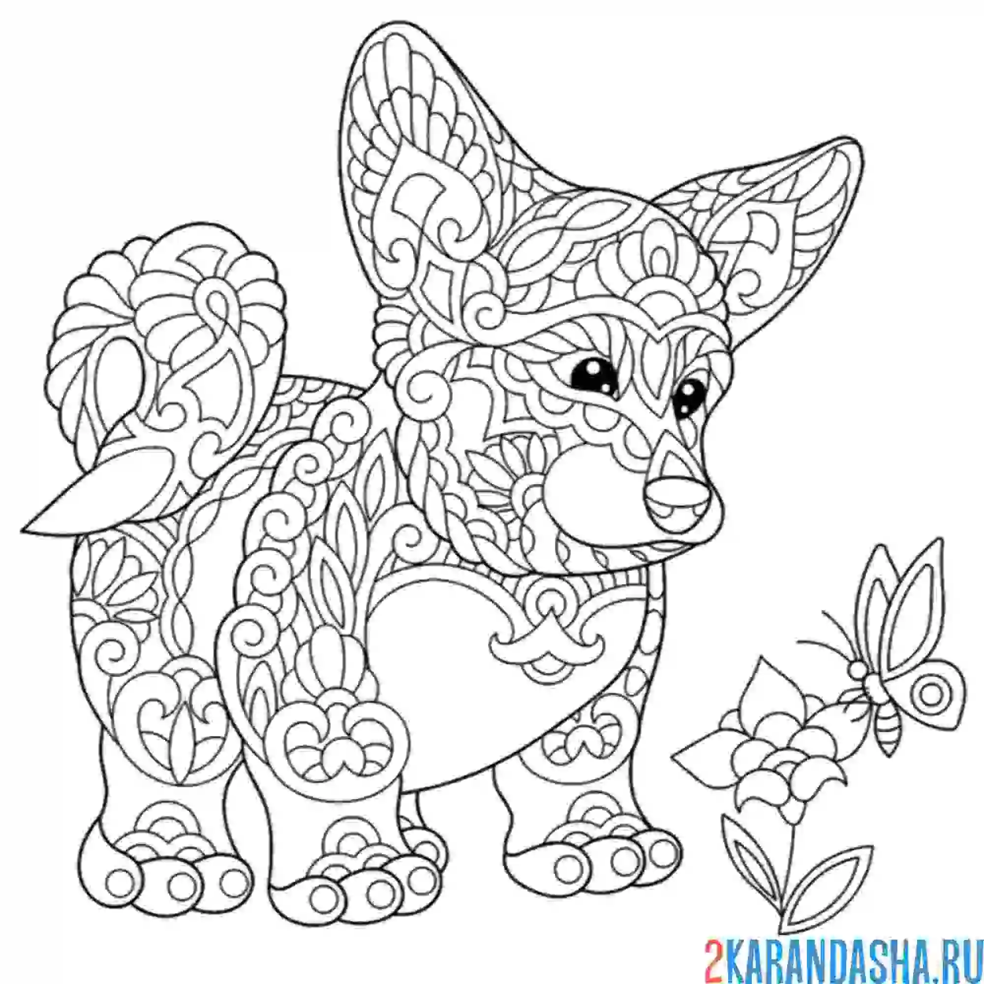 Раскраска корги и бабочка антистресс