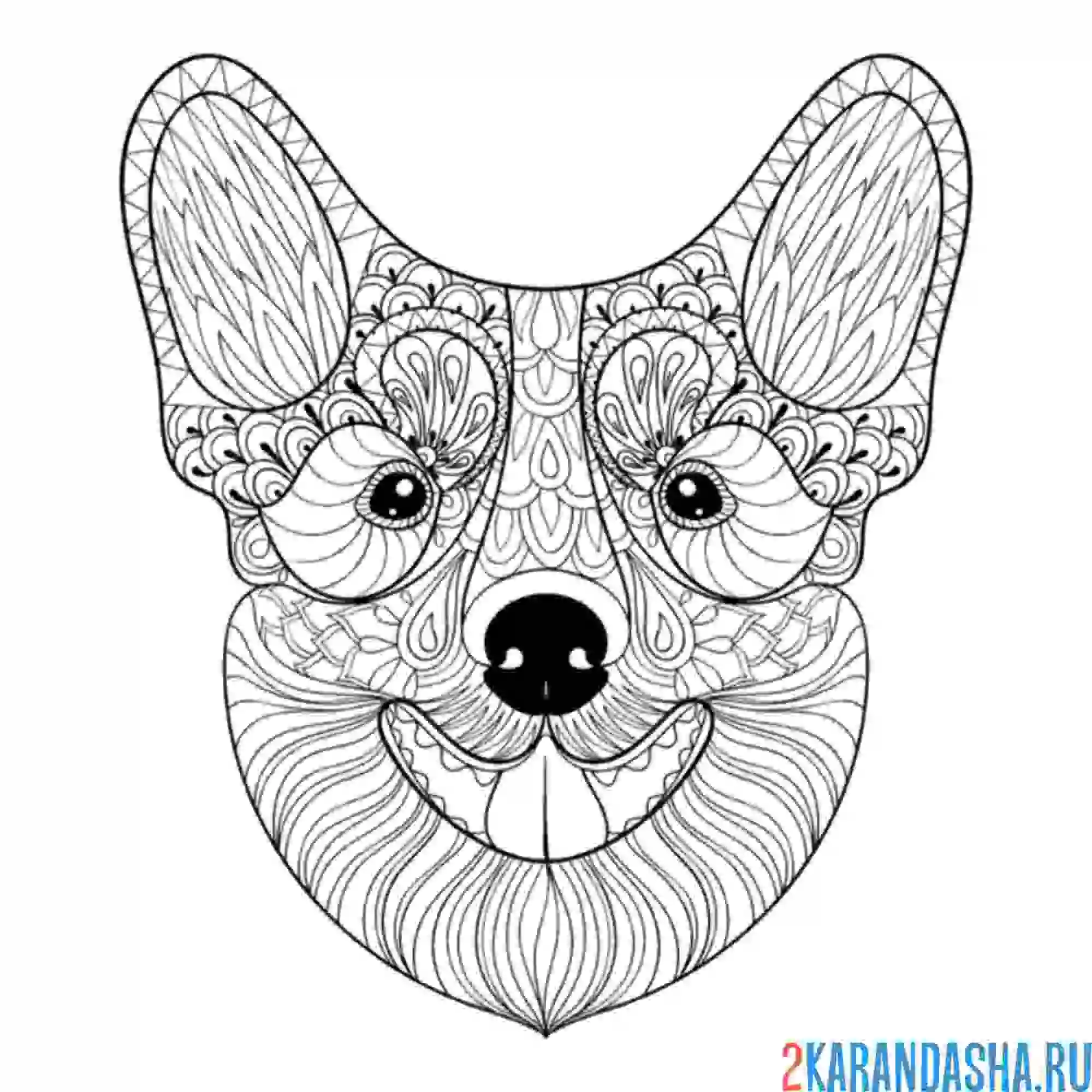 Раскраска голова корги антистресс