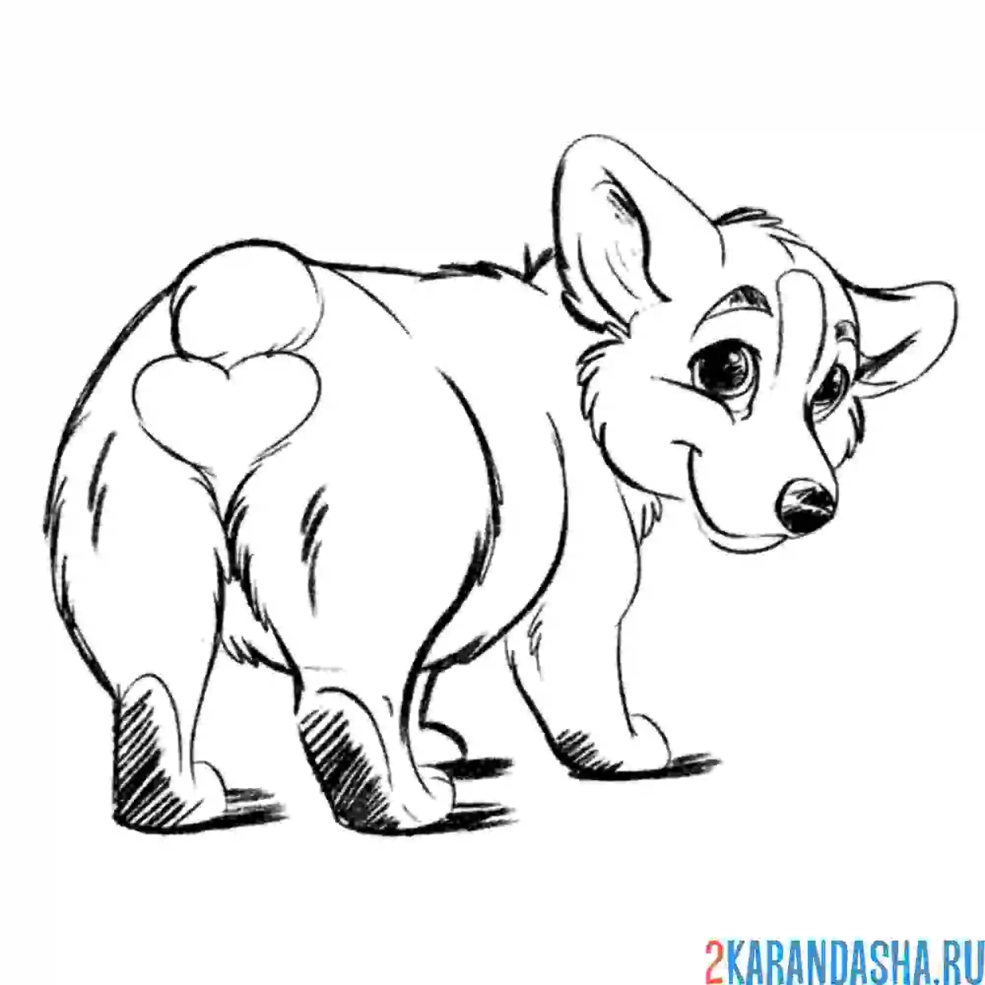 Раскраска милашка корги