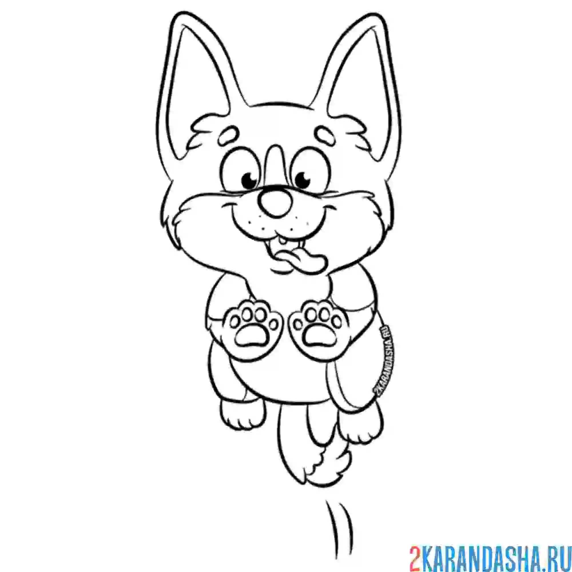 Раскраска корги в прыжке