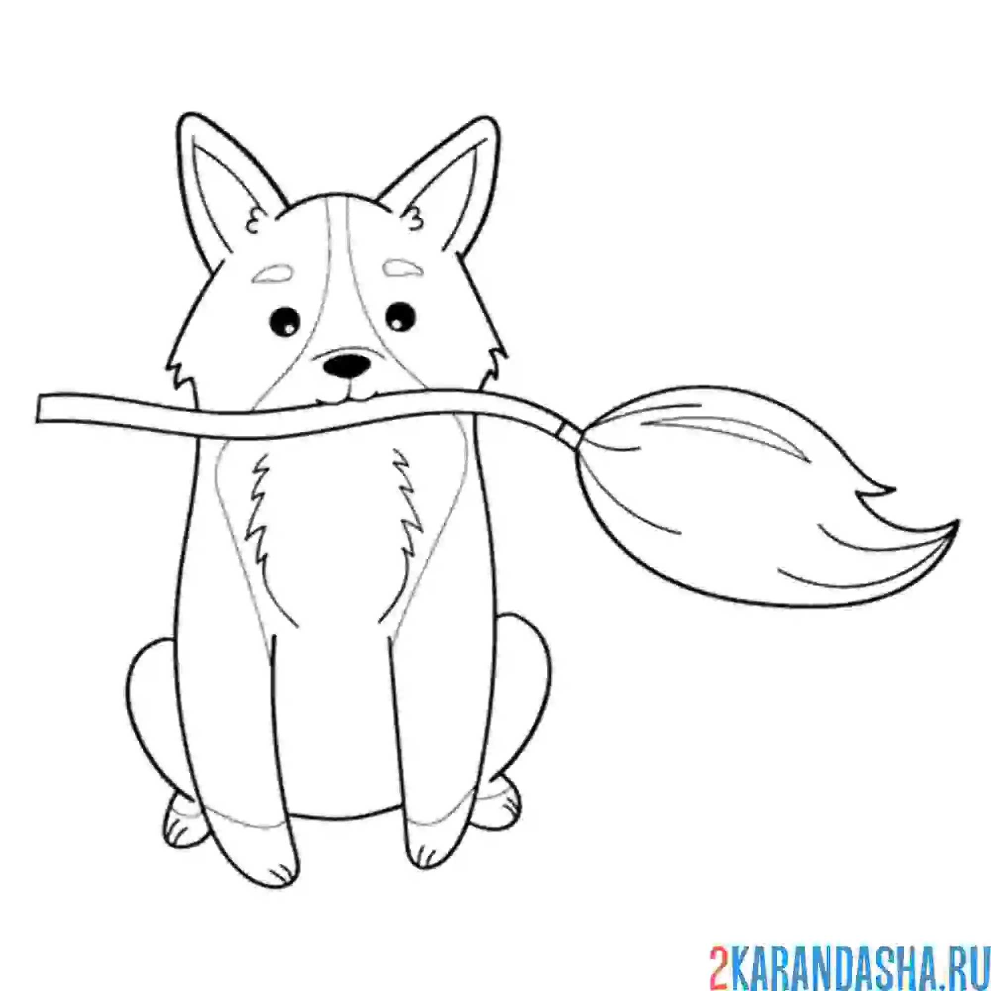 Раскраска хэллоуин корги с метлой