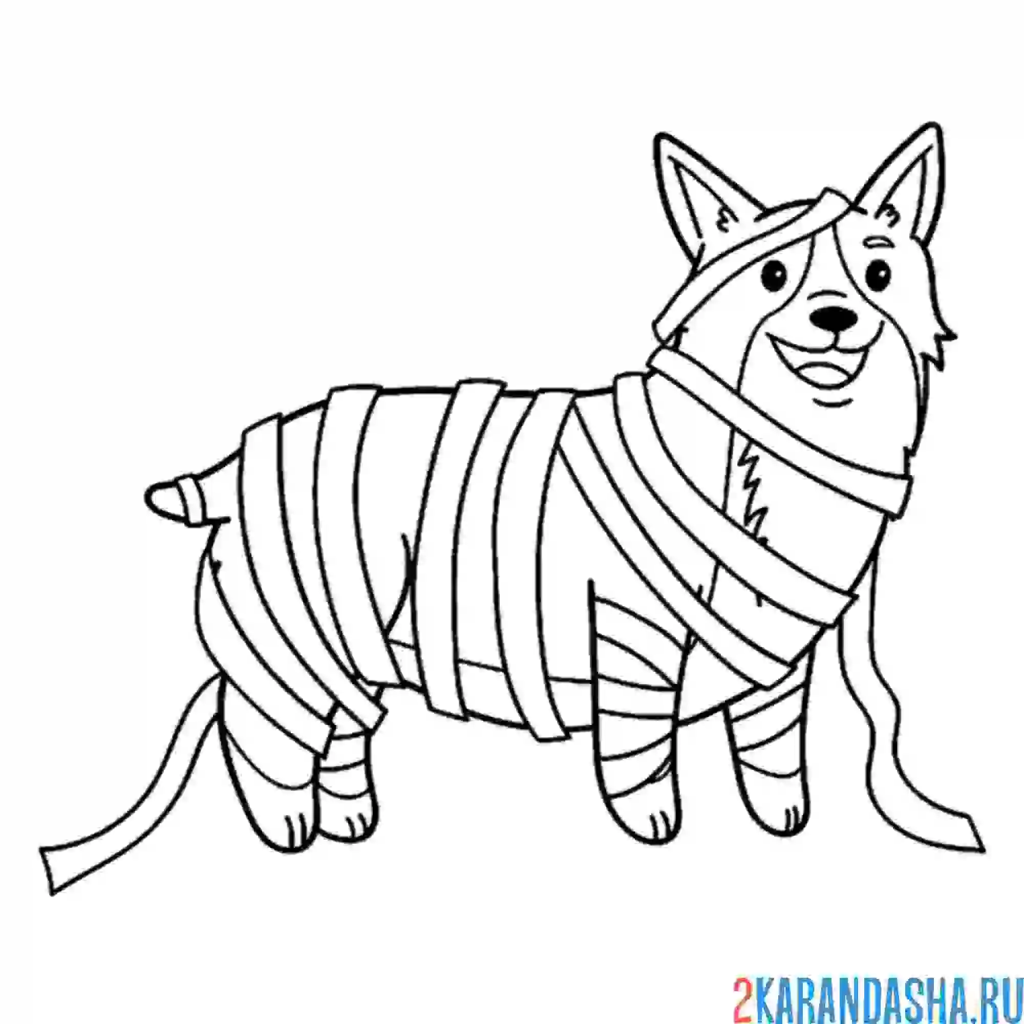 Раскраска хэллоуин корги