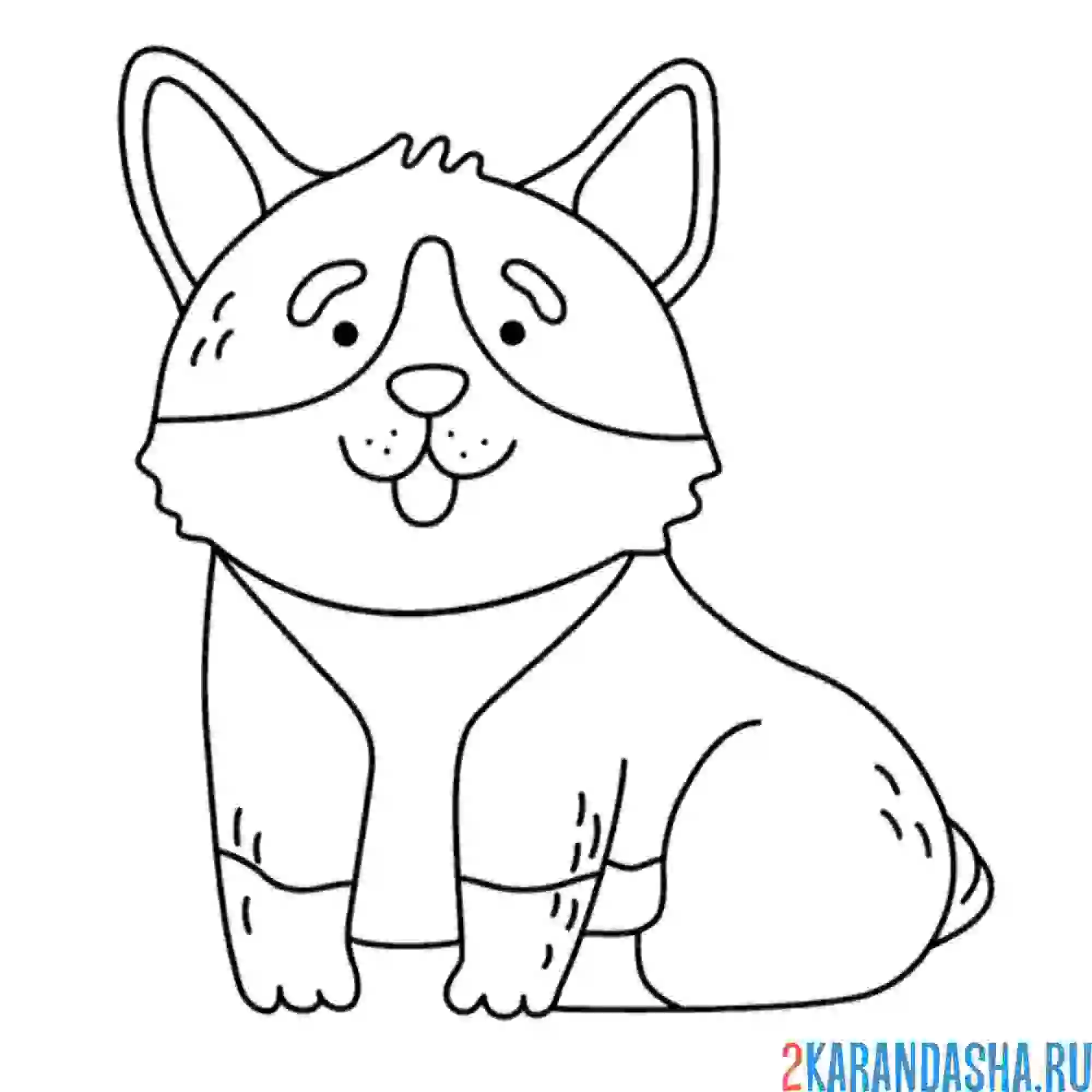 Раскраска песик корги