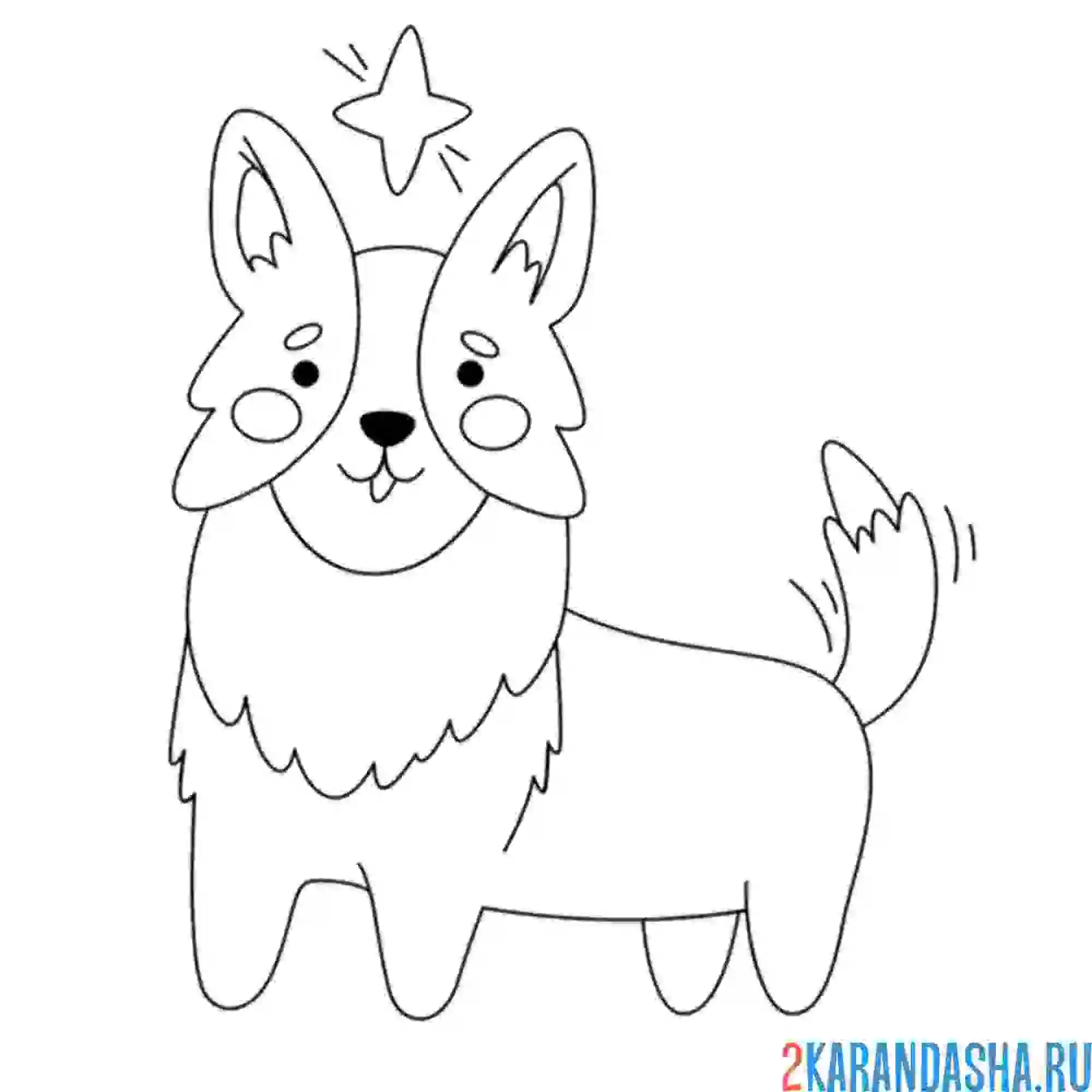 Раскраска корги со звездой