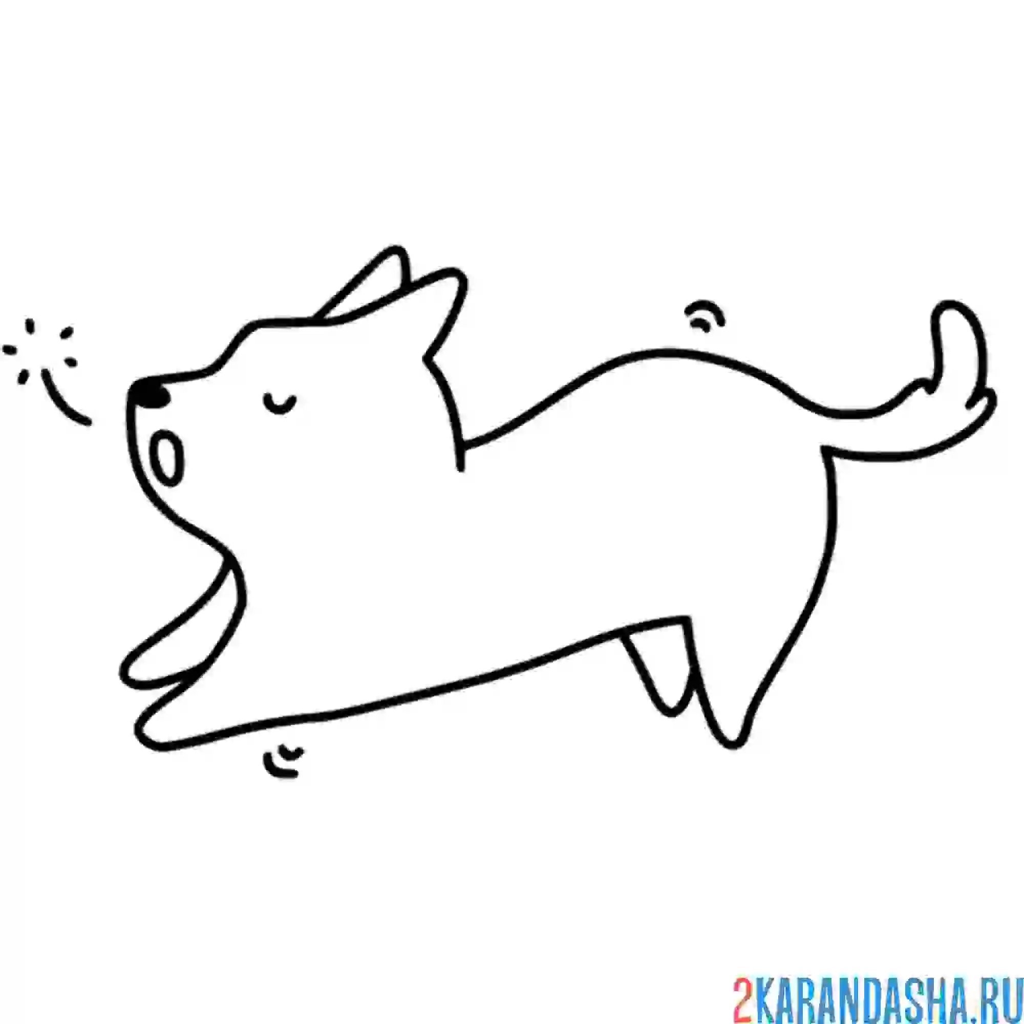 Раскраска корги лает