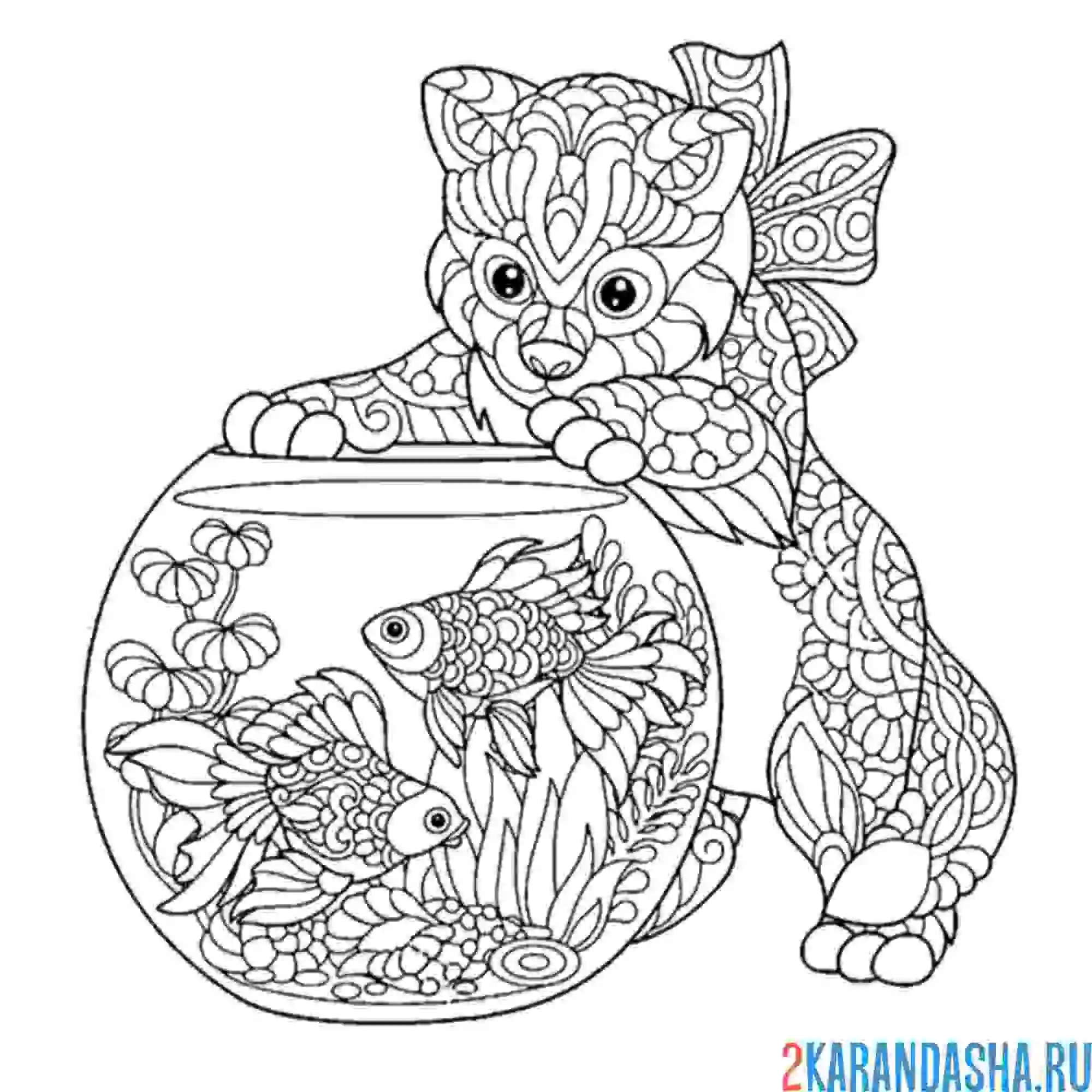 Раскраска кот антистресс аквариум