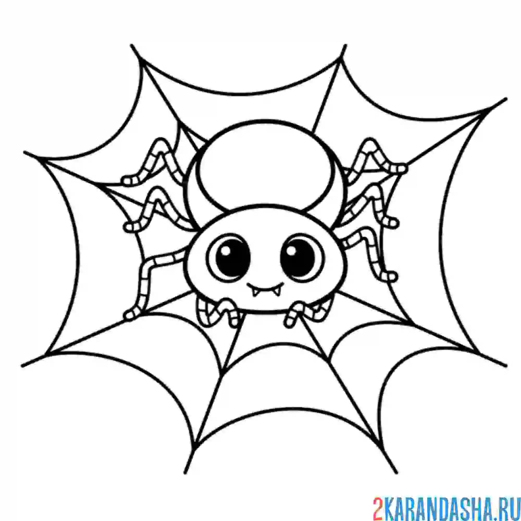 Раскраска паук каваи