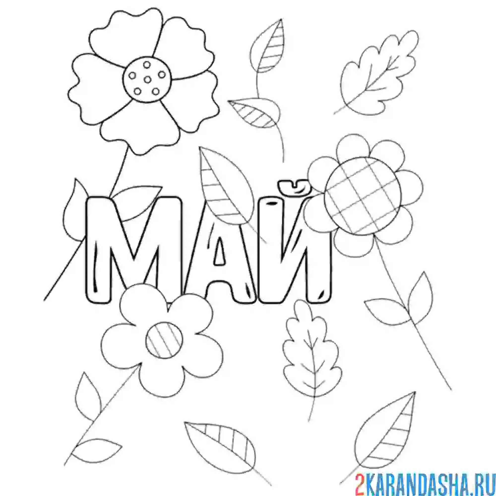 Раскраска май и цветы с листьями