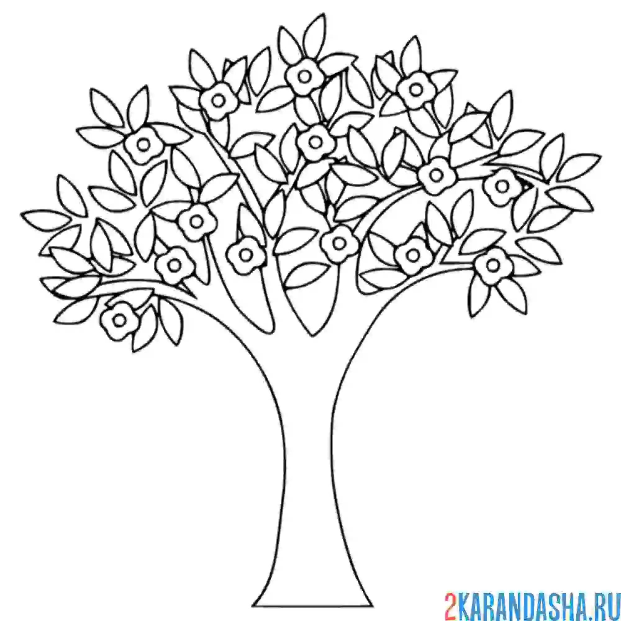 Раскраска дерево в мае