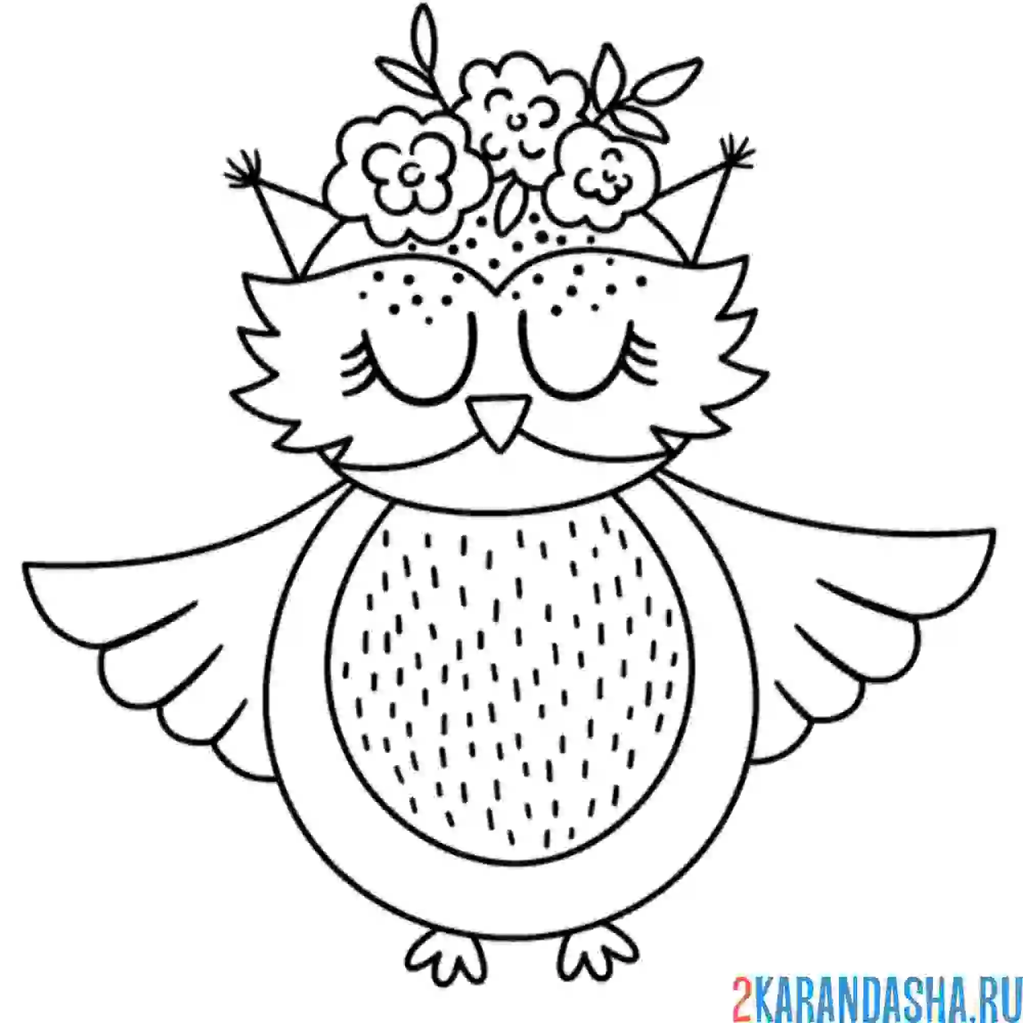 Раскраска сова спит