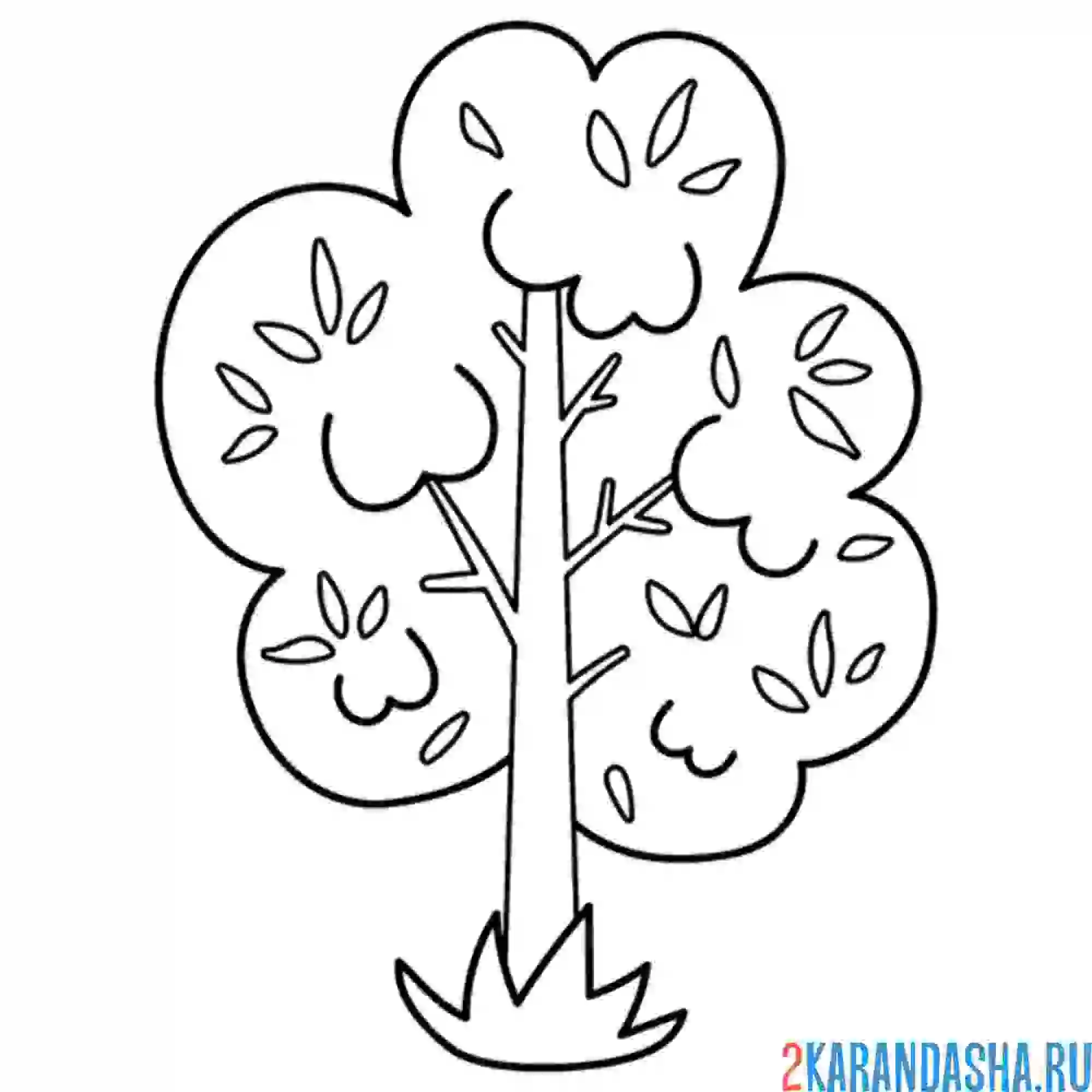 Раскраска дерево нашей земли