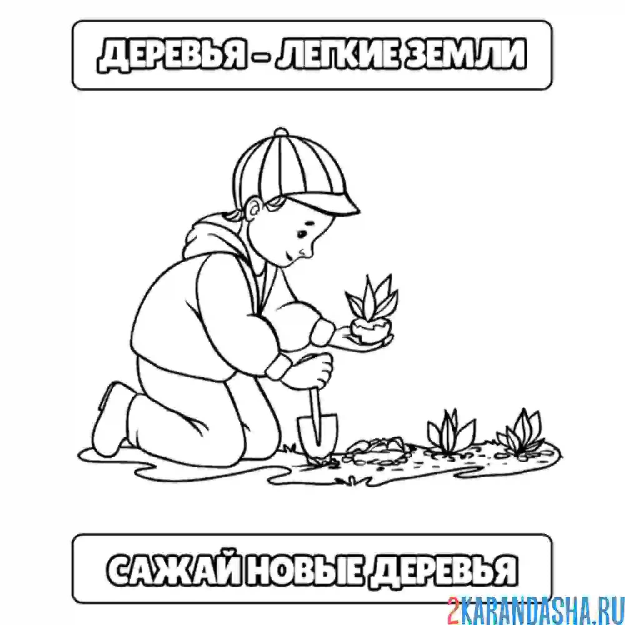 Раскраска сажай деревья экологичность