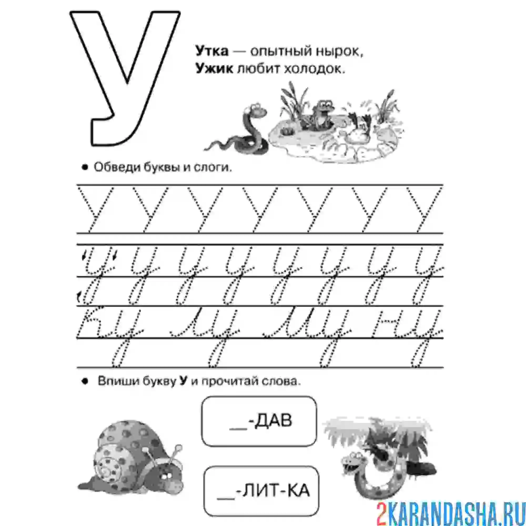 Раскраска заглавные и строчные буквы у пропись