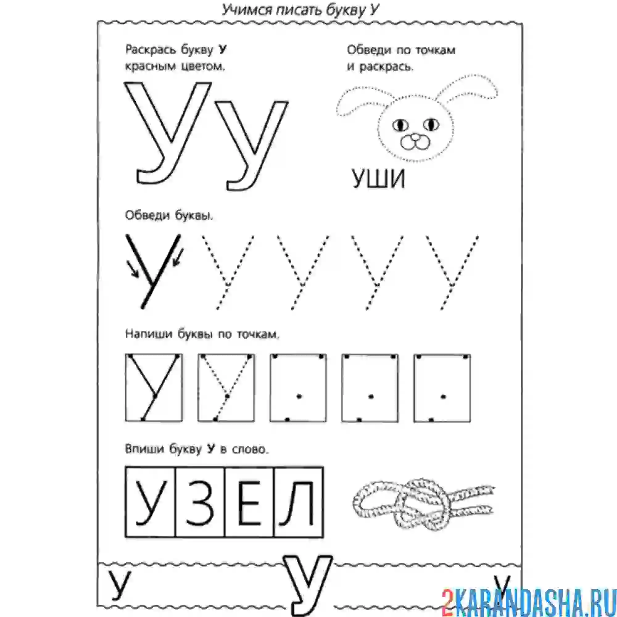 Раскраска буква у по точкам пропись