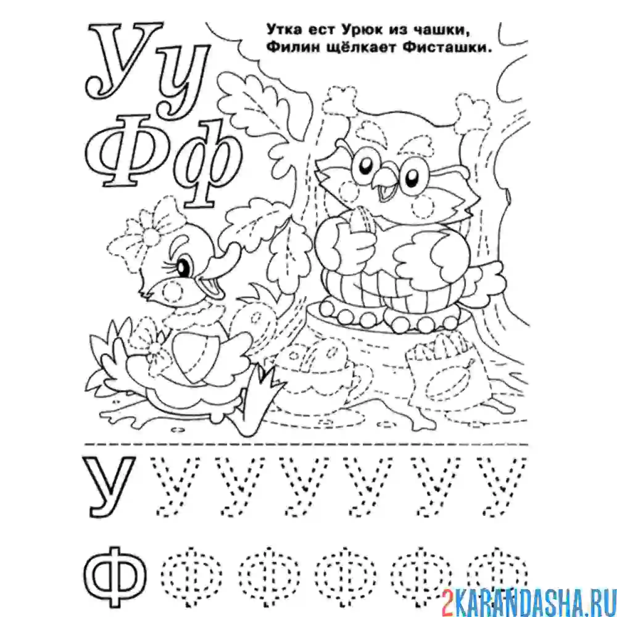 Раскраска буквы у ф пропись