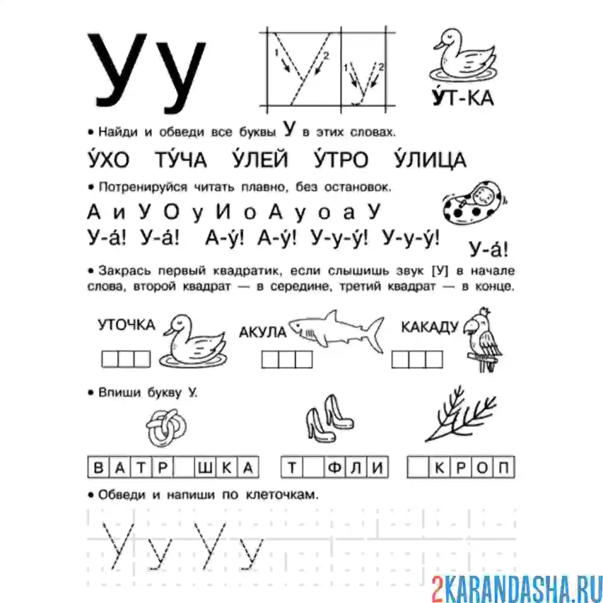 Раскраска правильное написание буква у