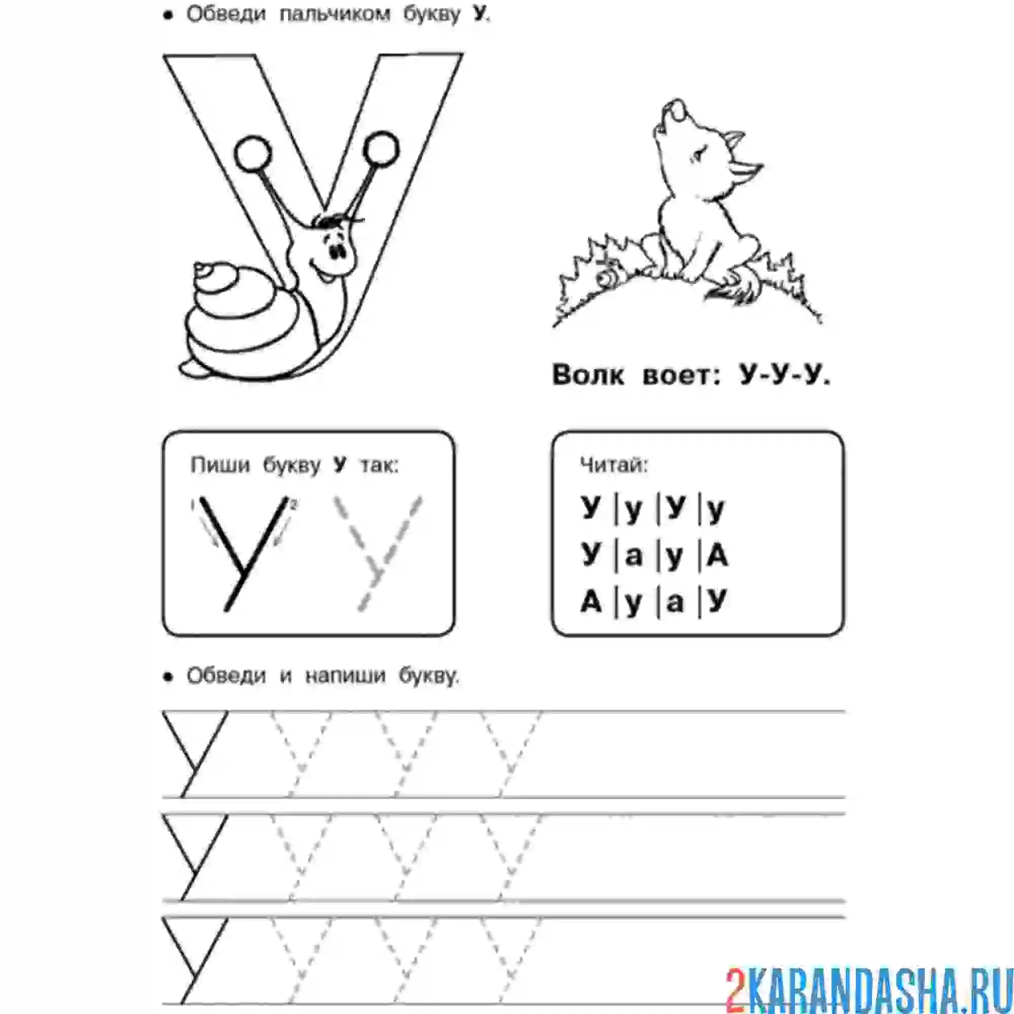 Раскраска печатная букву у пропись обведи