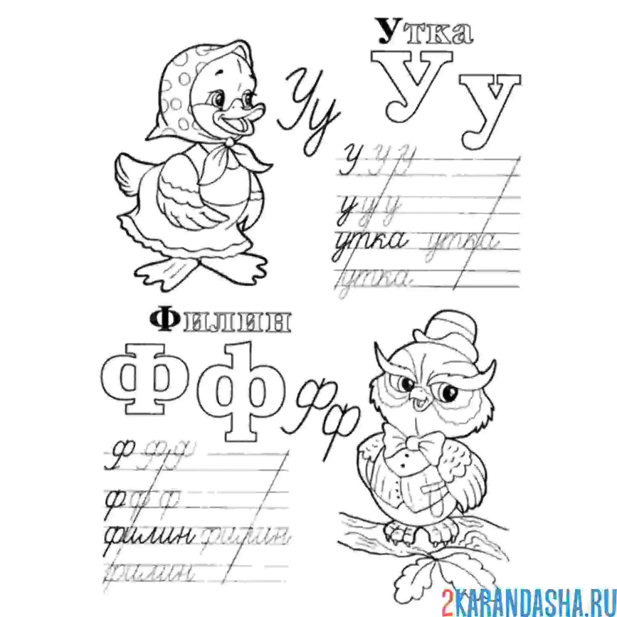 Раскраска буквы у ф