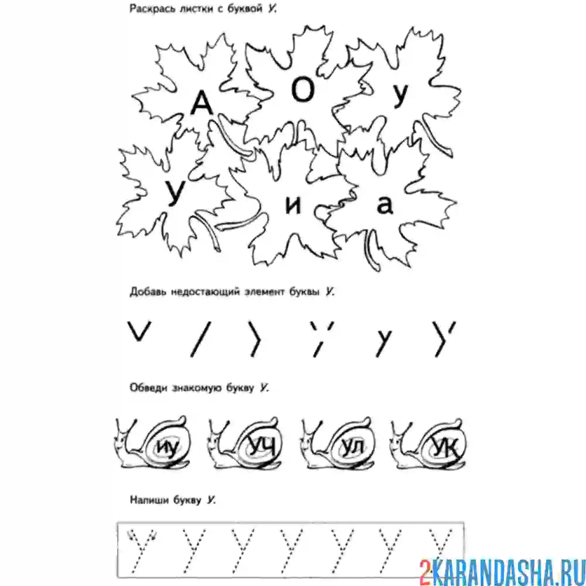 Раскраска букву у обведи