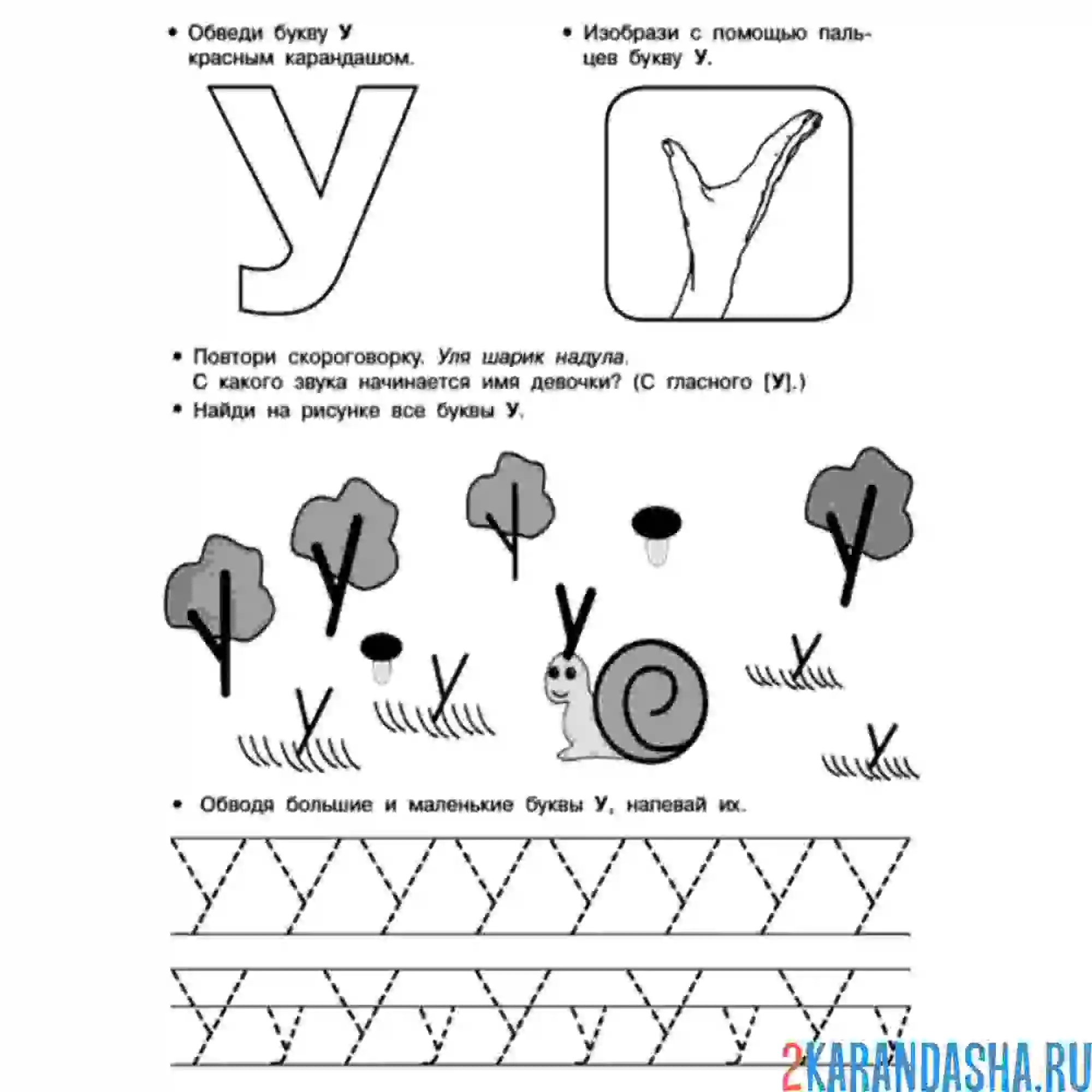 Раскраска печатная буква у в прописи