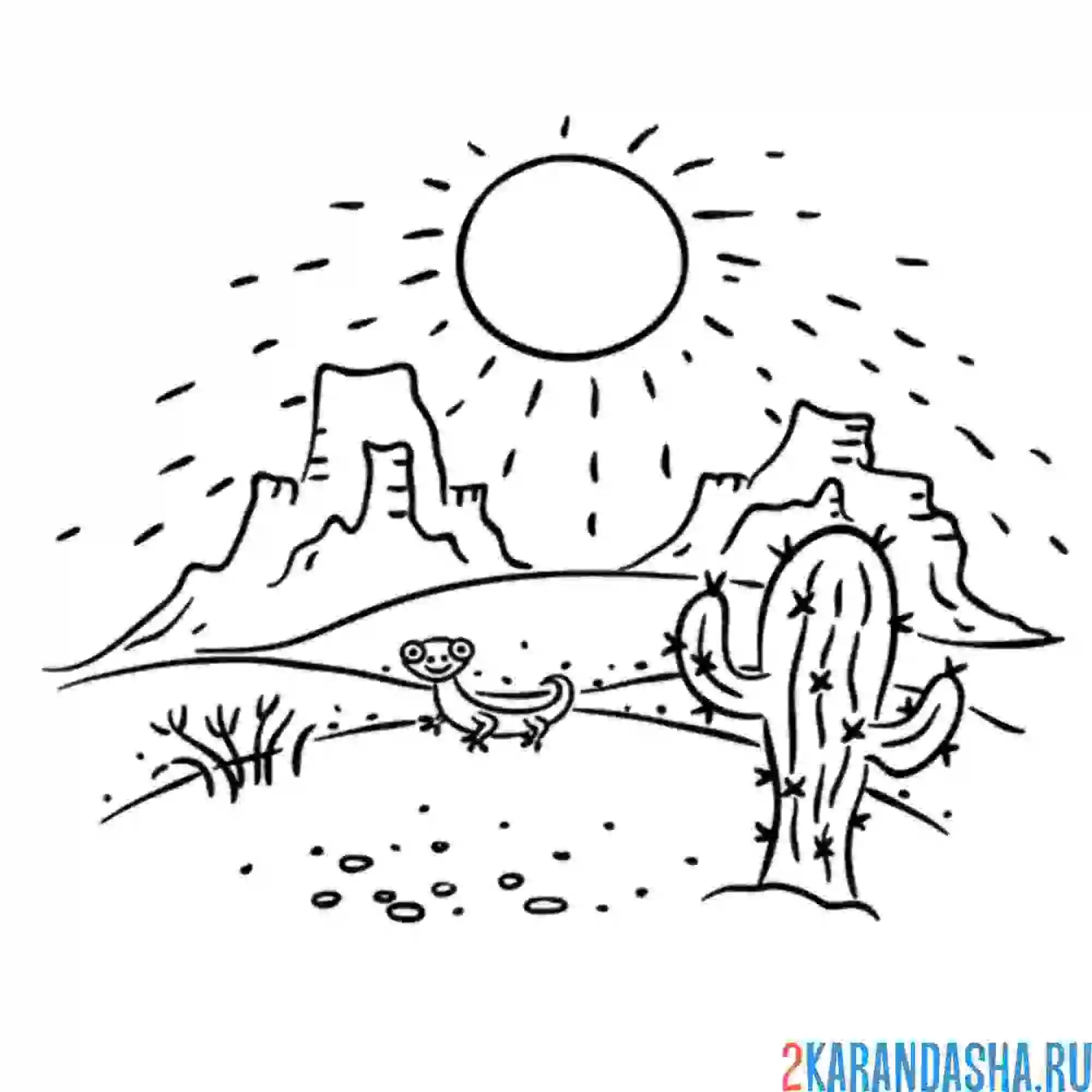 Раскраска пустынный пейзаж