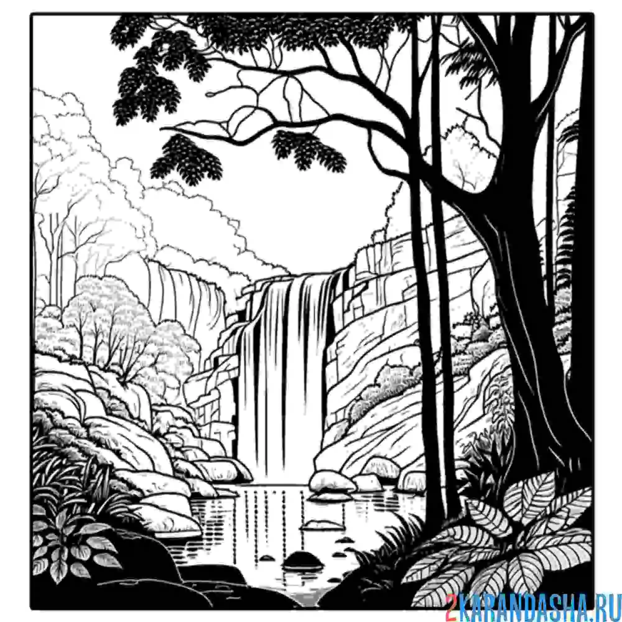 Раскраска водопад в лесу пейзаж