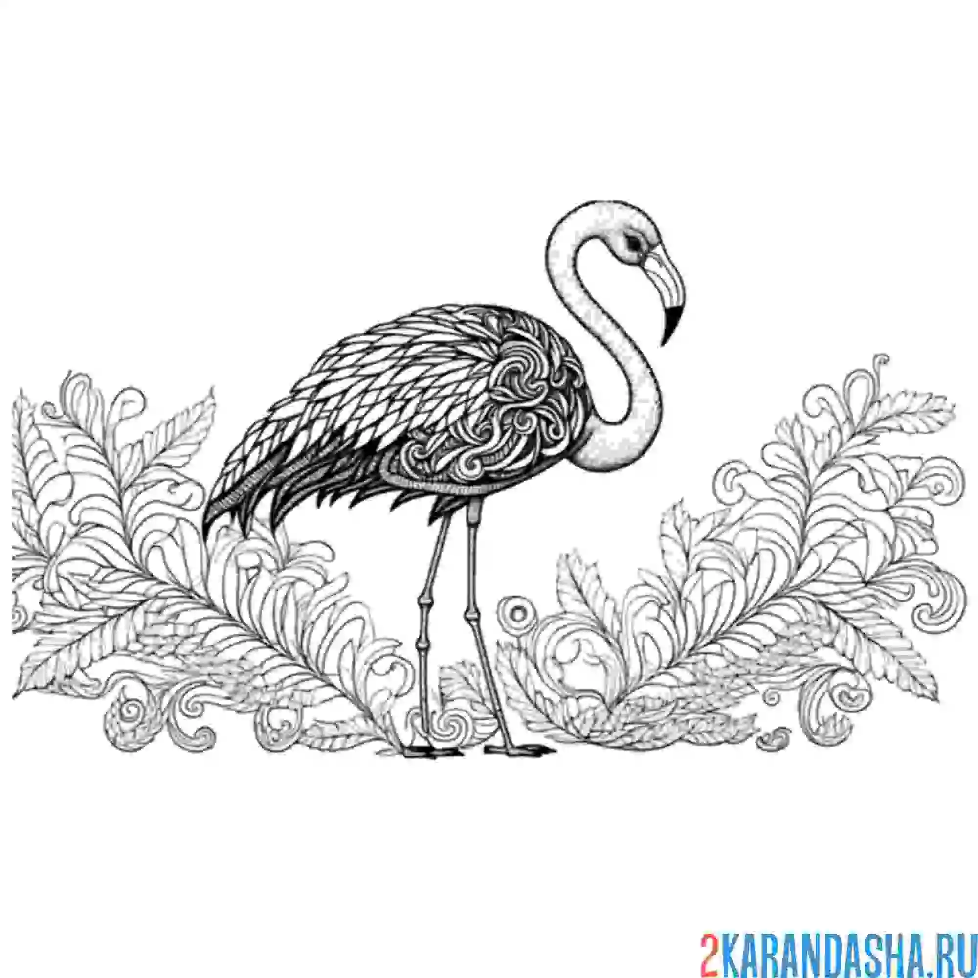Раскраска фламинго в траве