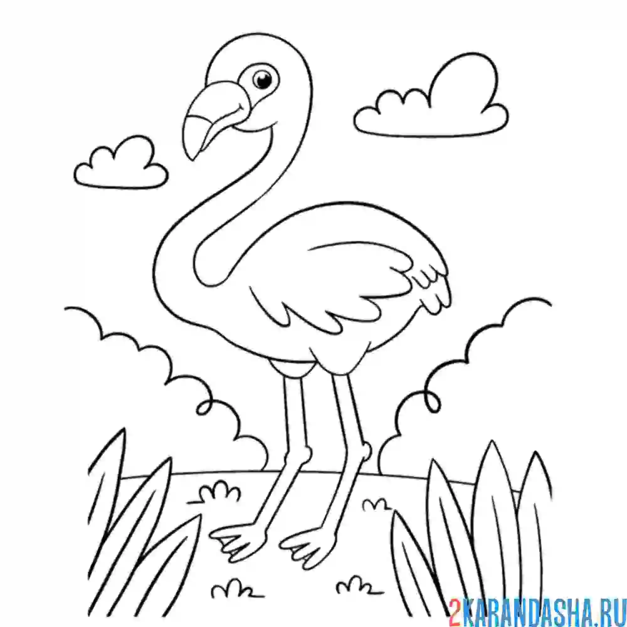 Раскраска фламинго на озере