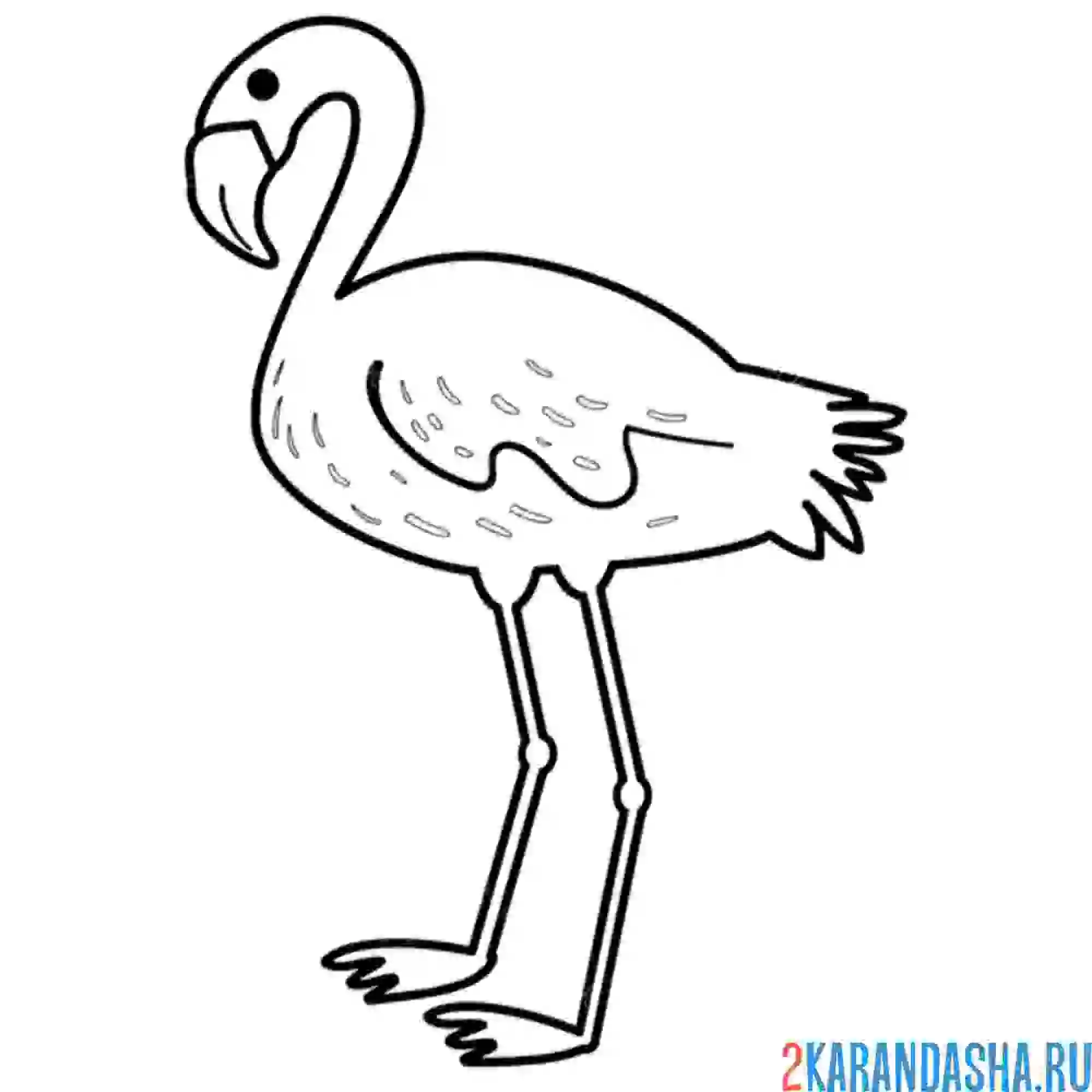 Раскраска смешной фламинго