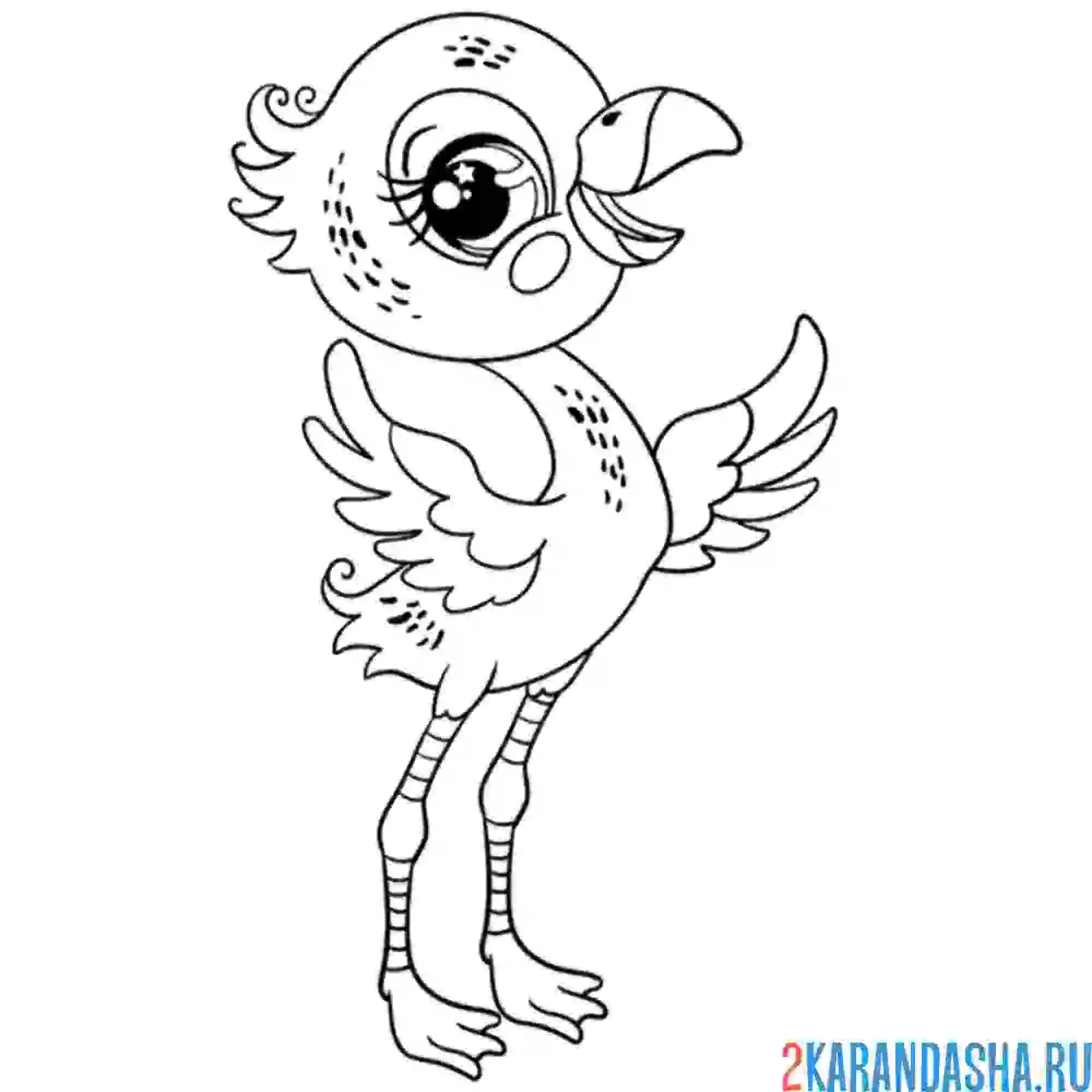 Раскраска птенчик фламинго