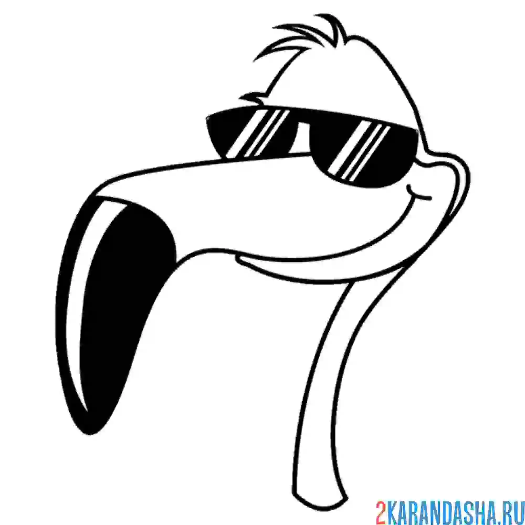 Раскраска крутой фламинго