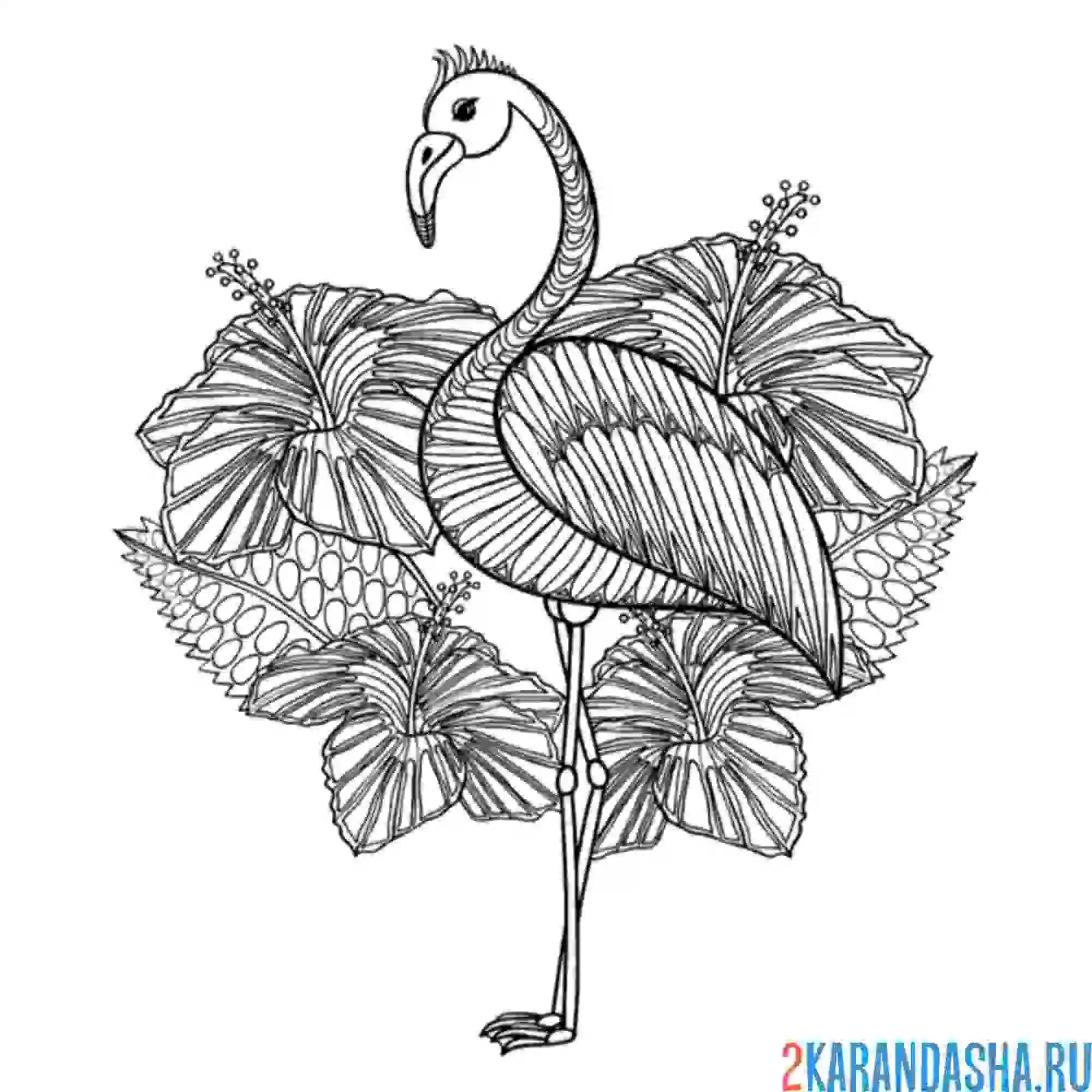 Раскраска арт-рисунок фламинго