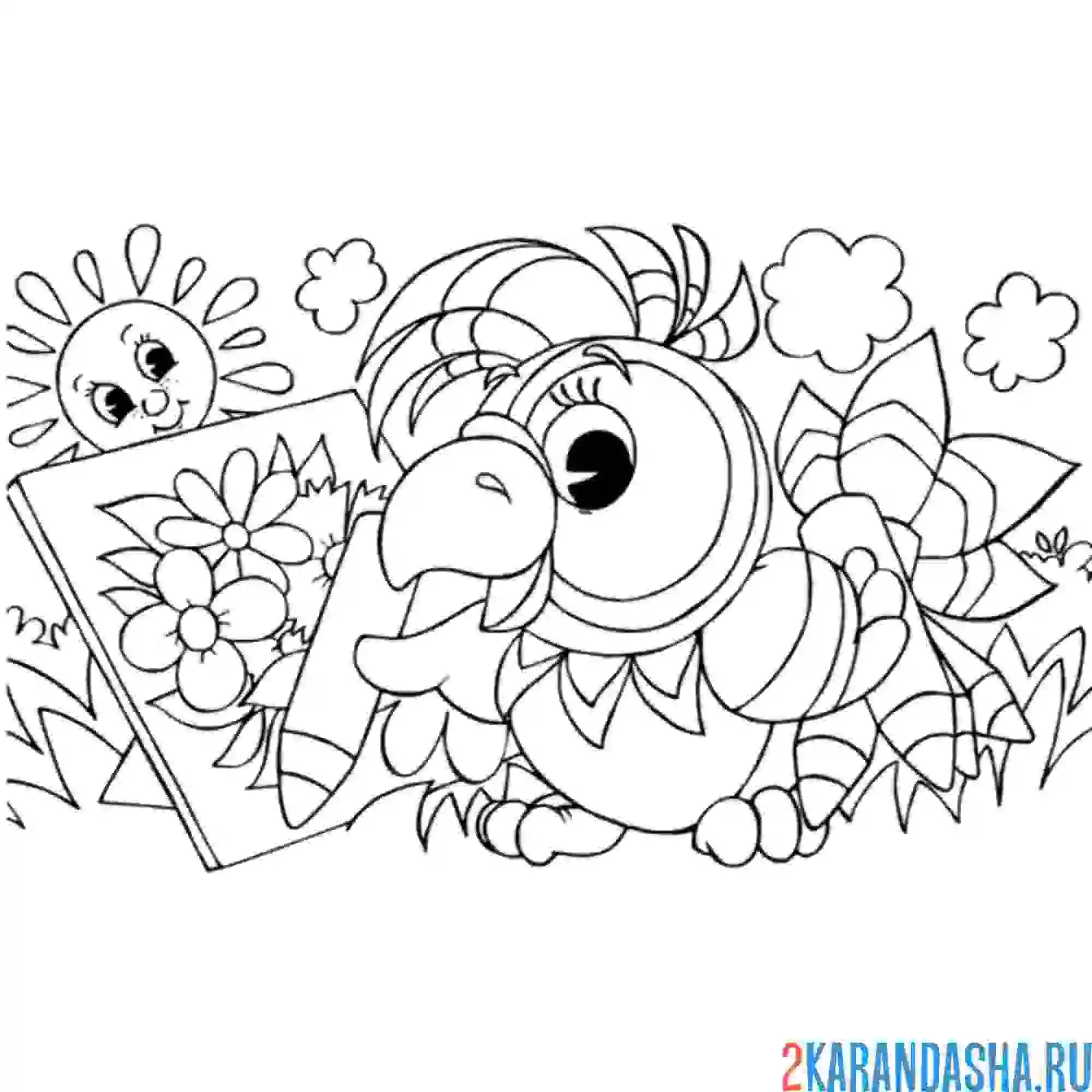 Раскраска попугай рисует