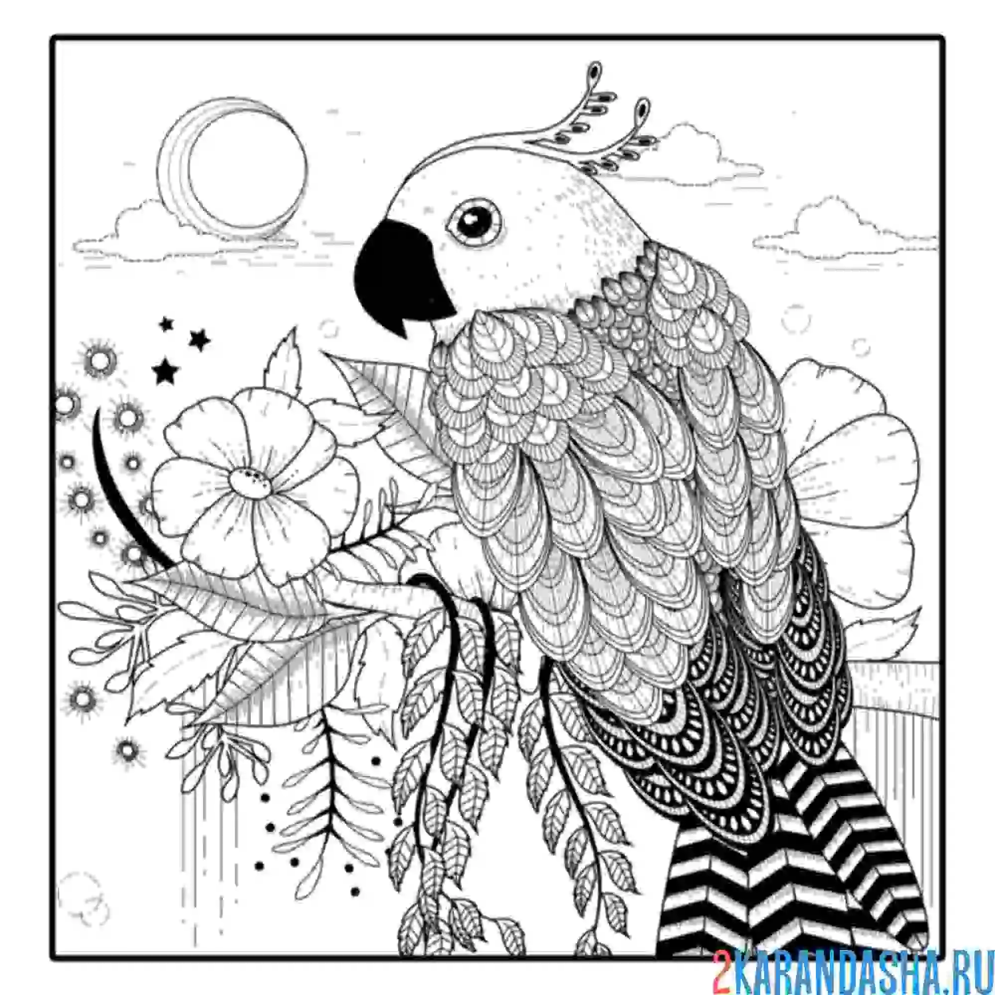 Раскраска попугай на цветущей ветке