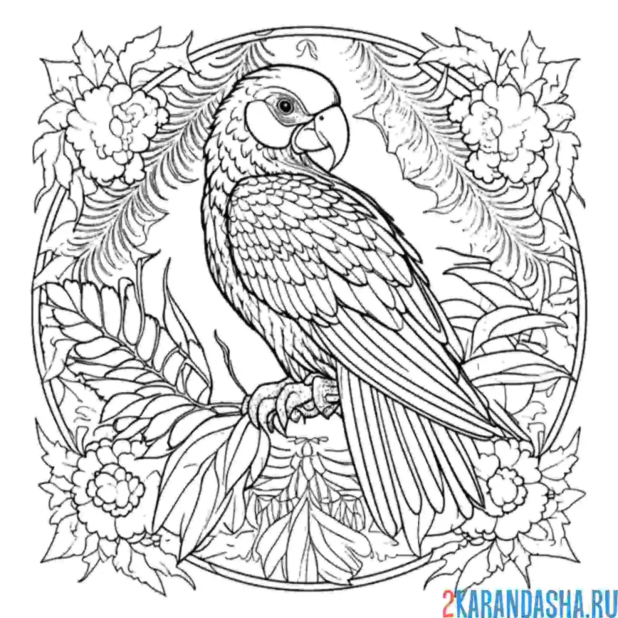 Раскраска арт-попугай