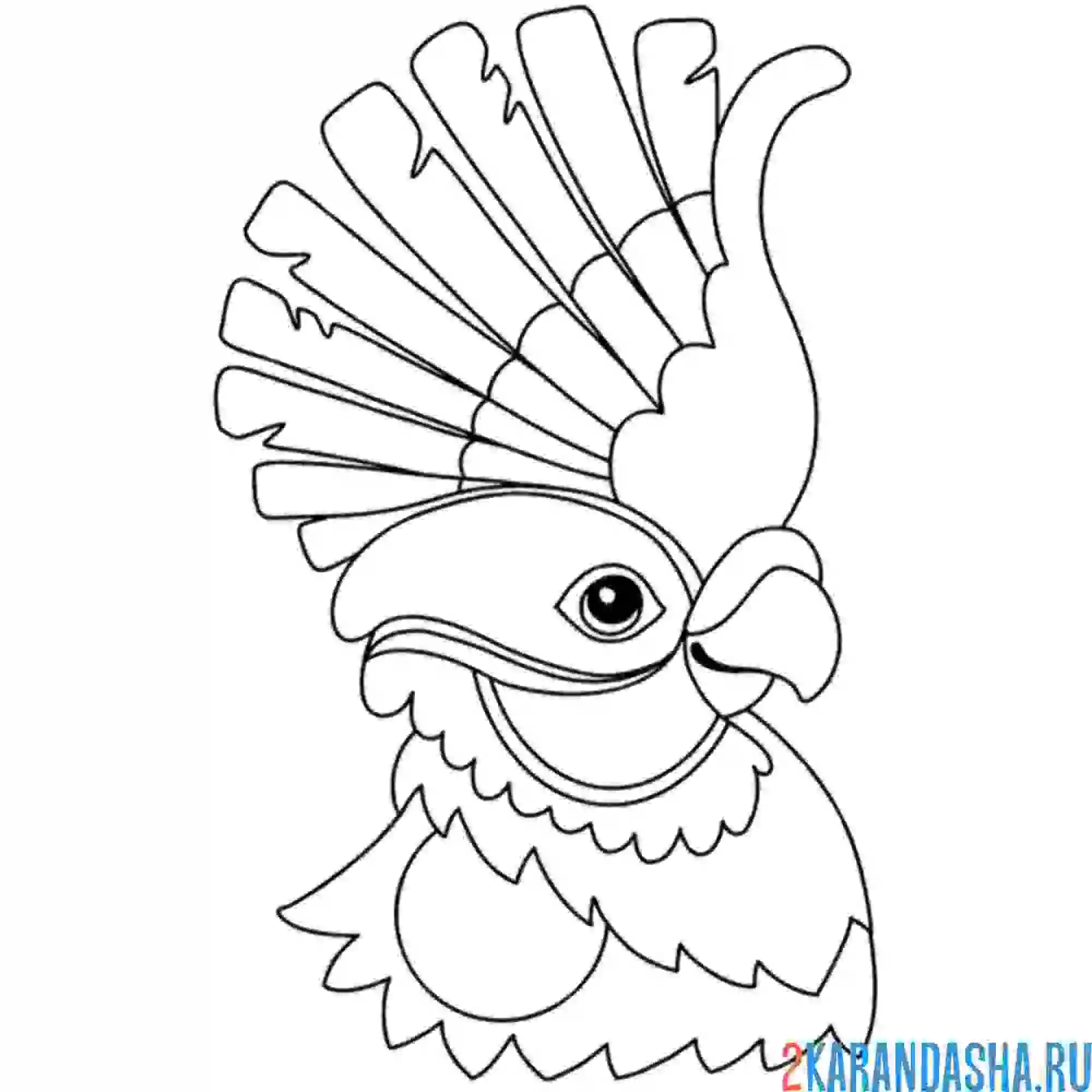 Раскраска распустил хохолок попугай