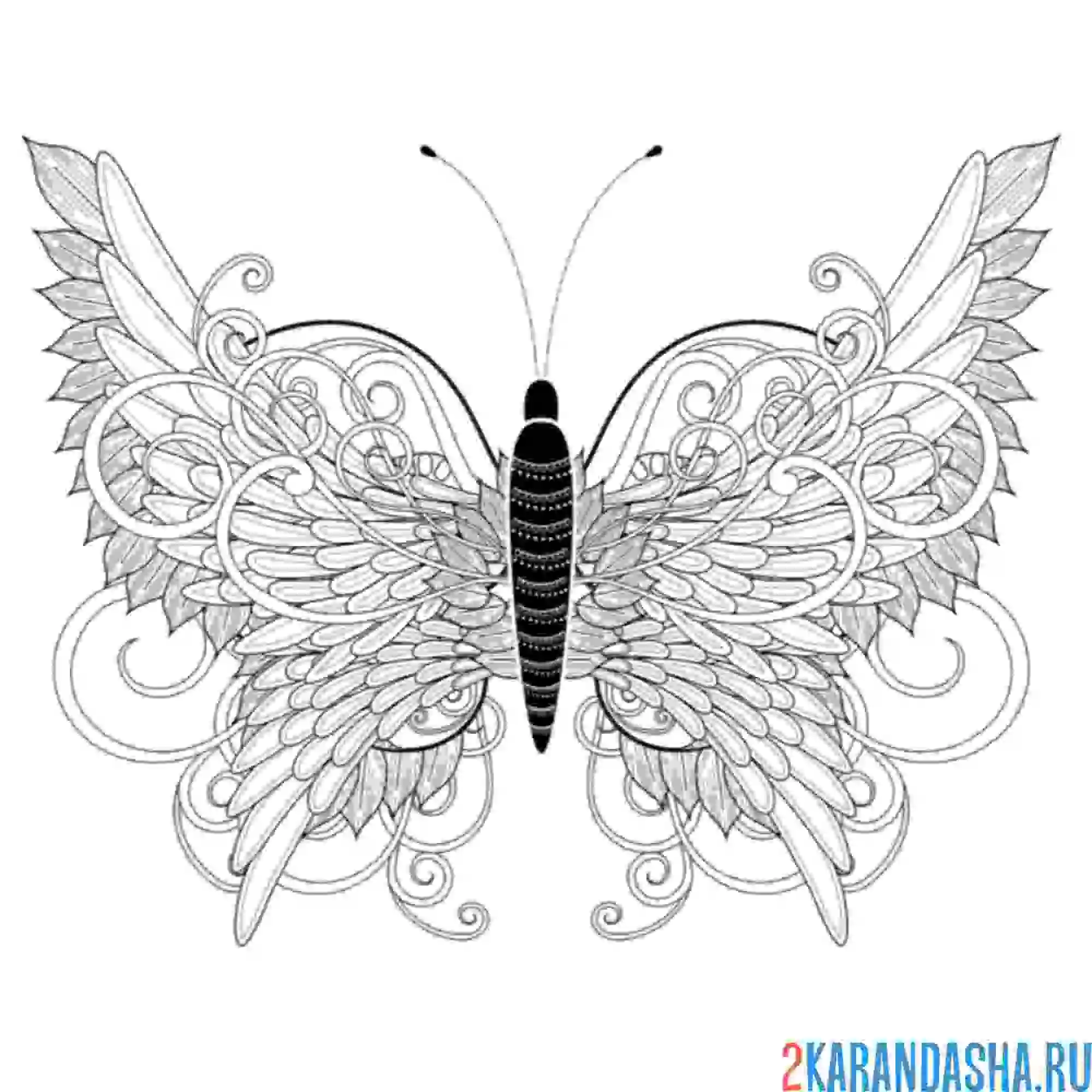Раскраска ажурная бабочка арт