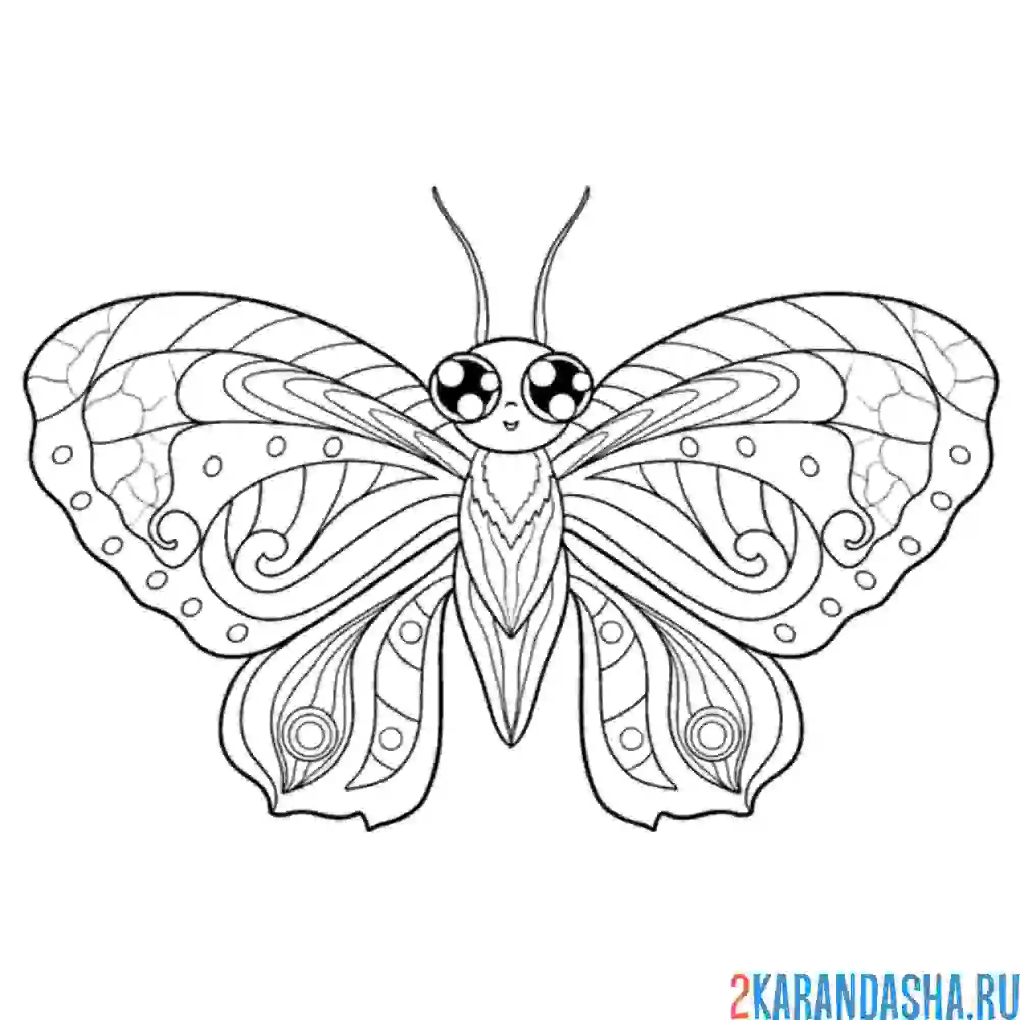 Раскраска бабочка с большими глазами