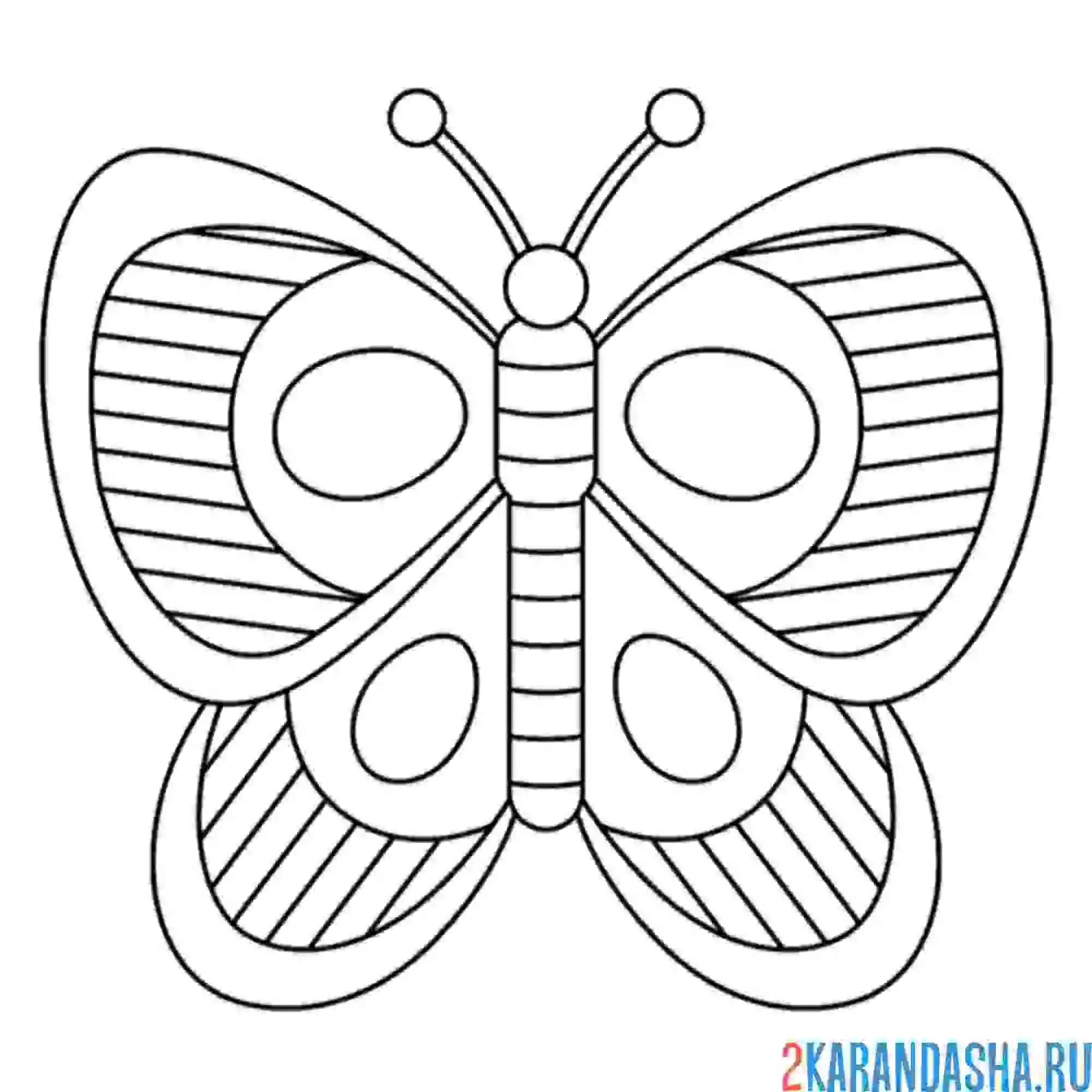 Раскраска простой рисунок бабочки