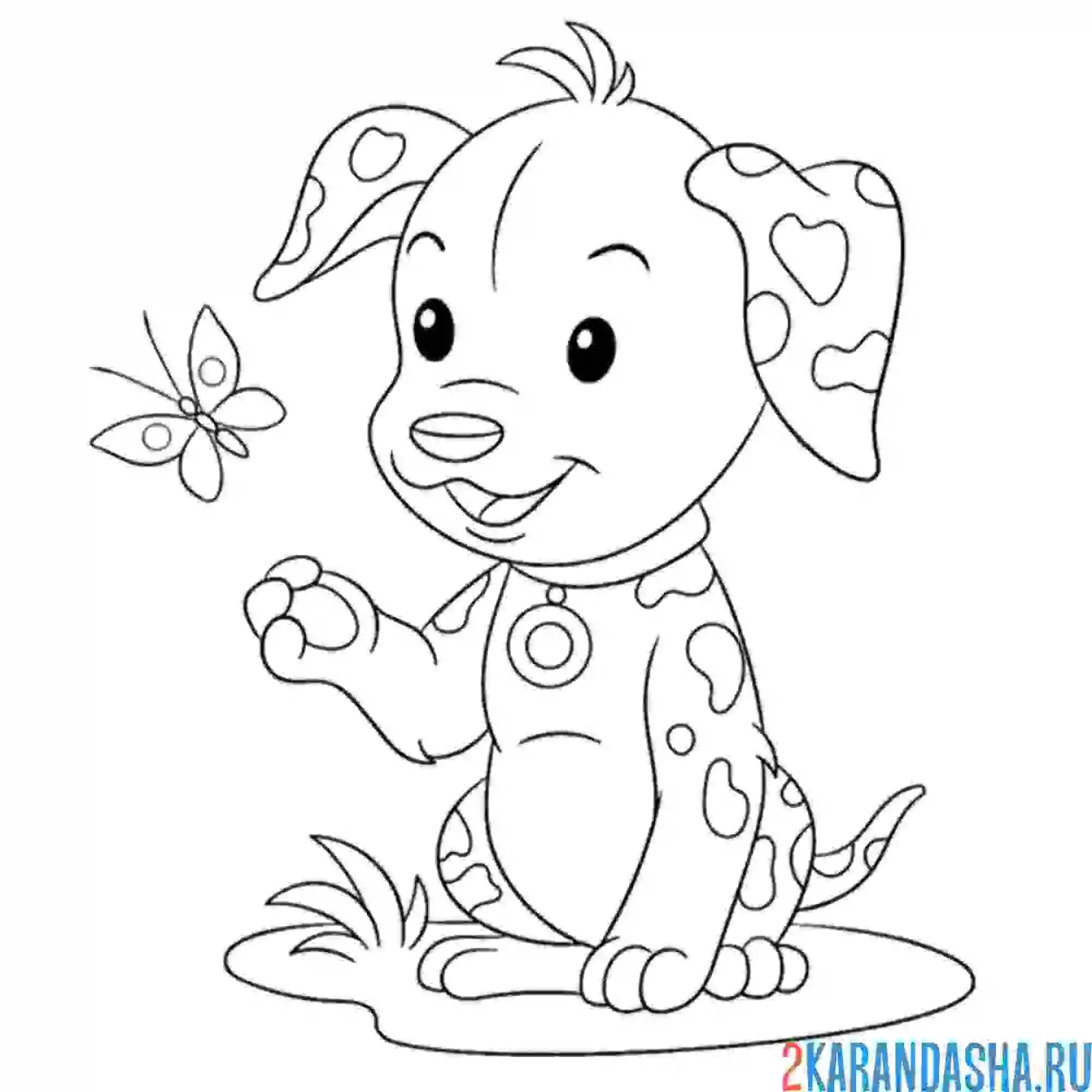 Раскраска бабочка и щенок