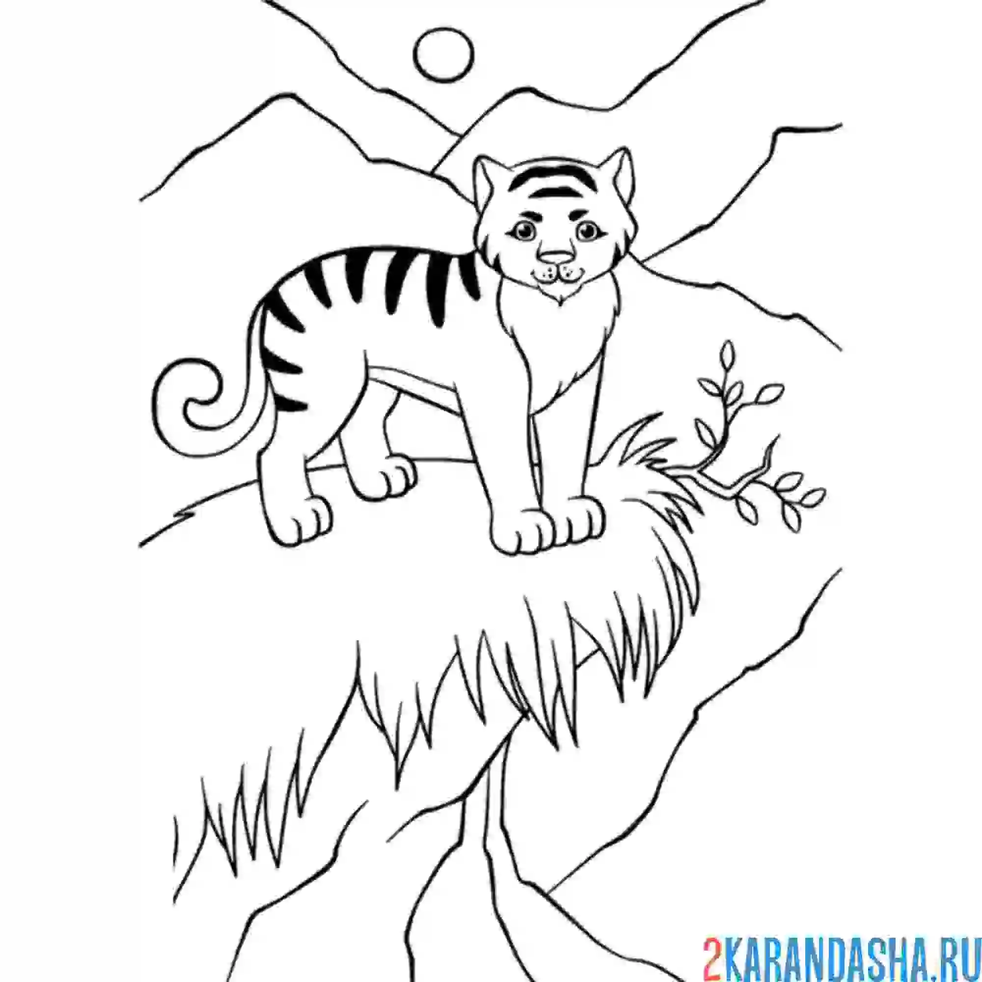 Раскраска горный тигр
