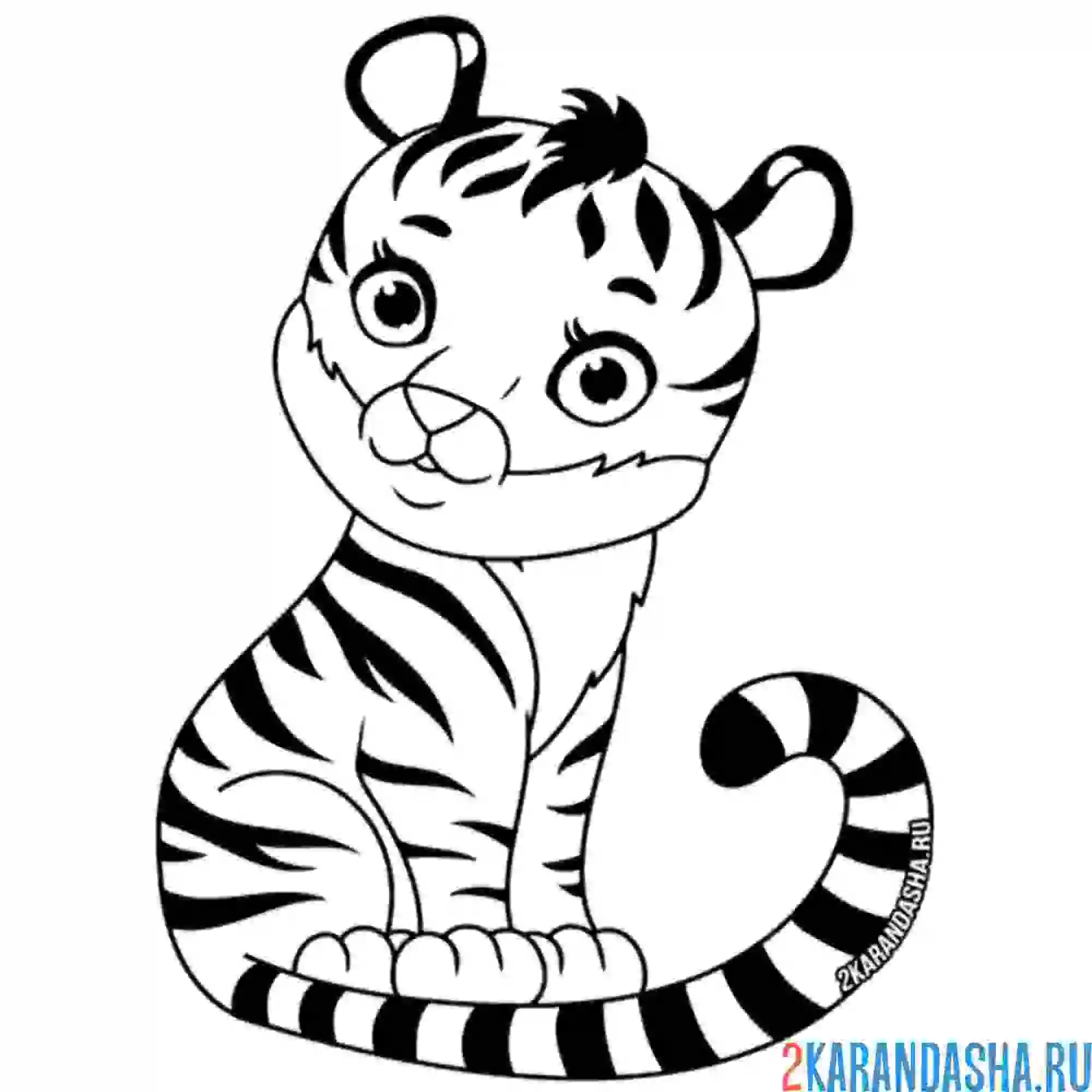 Раскраска тигр смотрит
