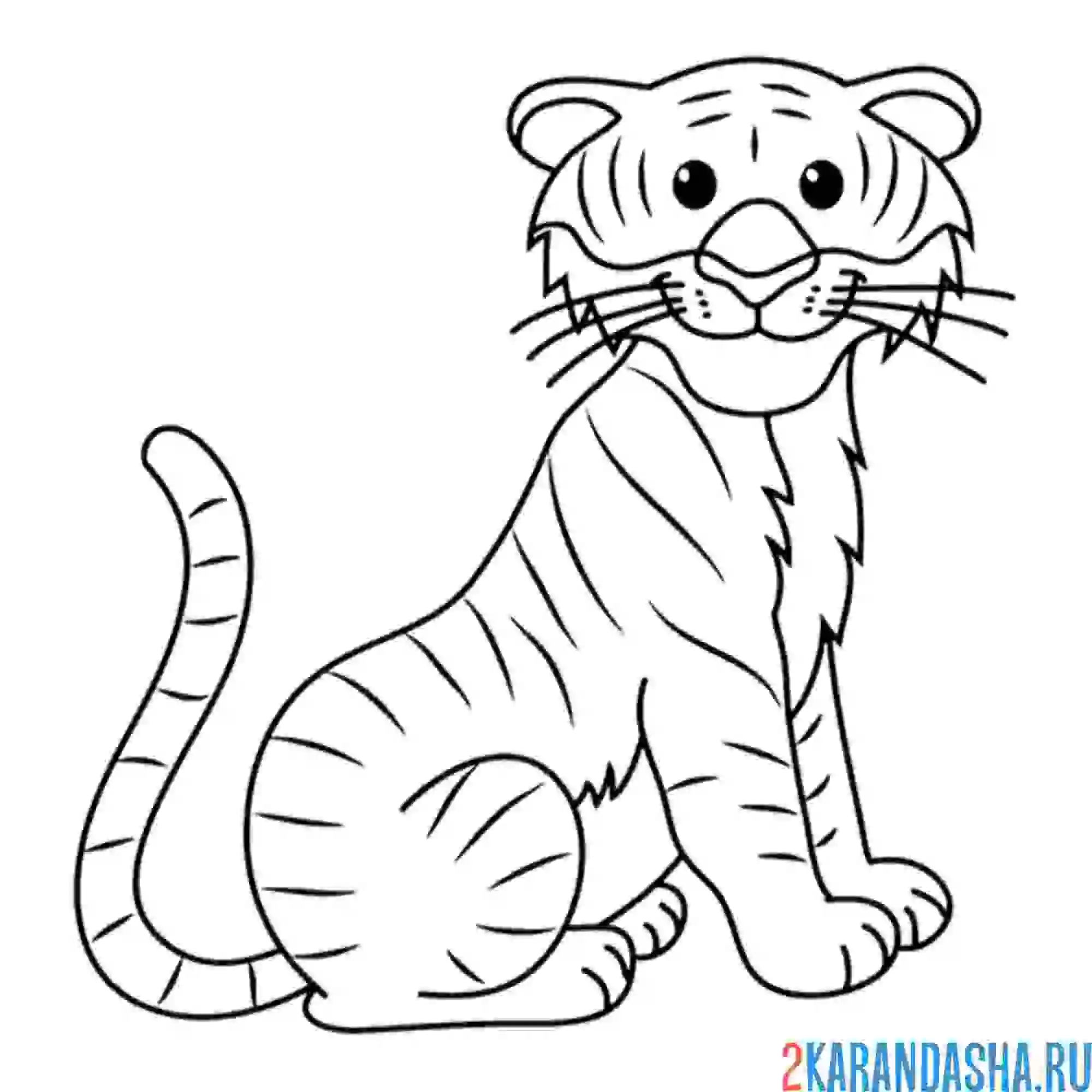 Раскраска тигр улыбается