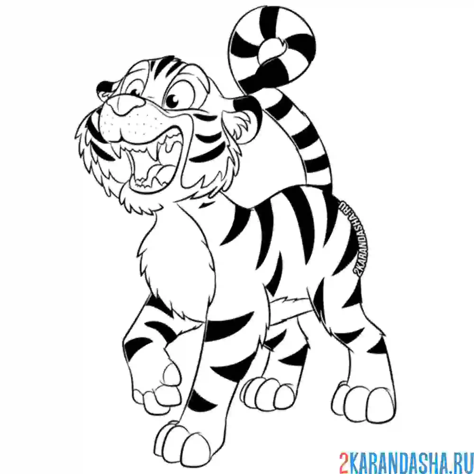 Раскраска тигр рычит