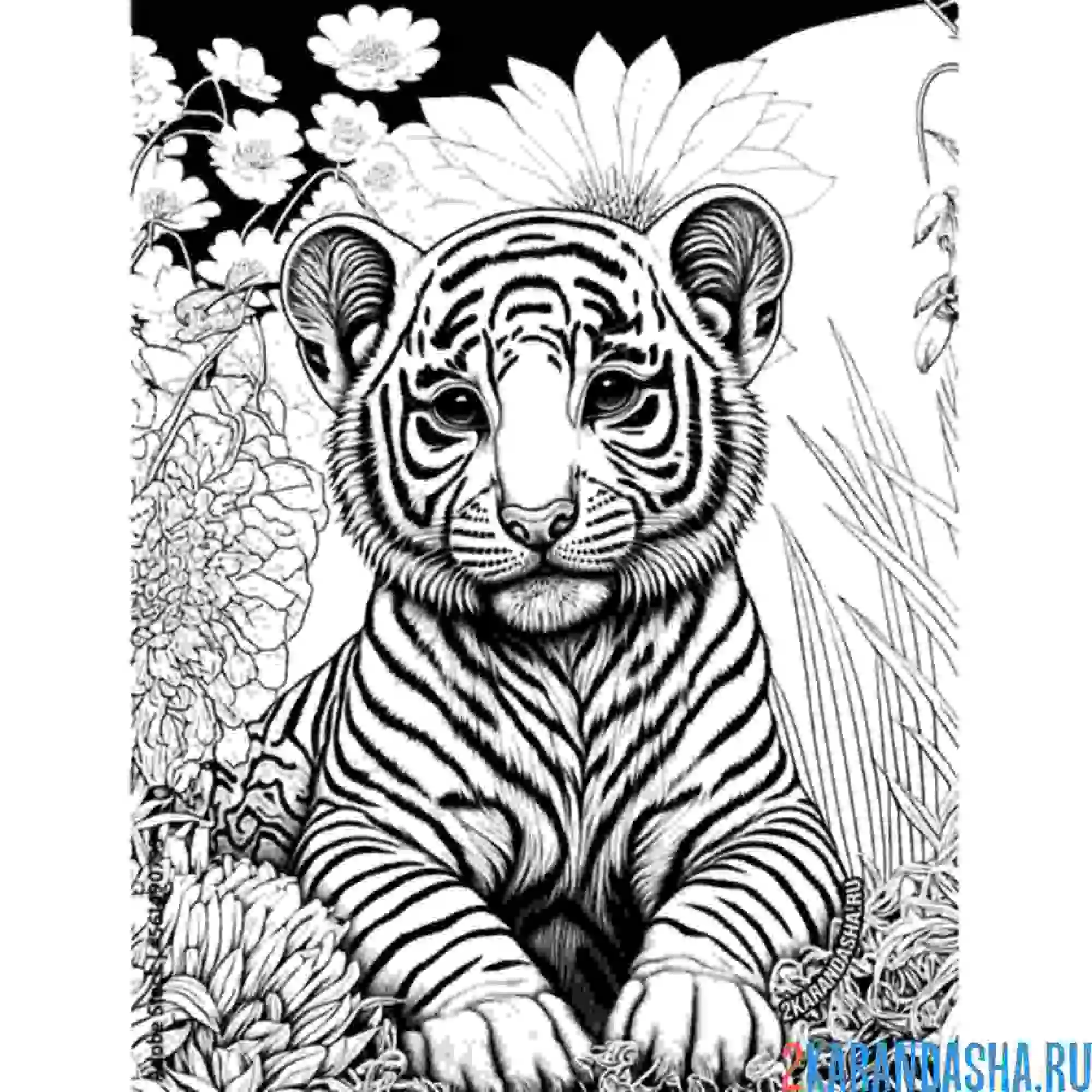Раскраска фото тигр в кустах
